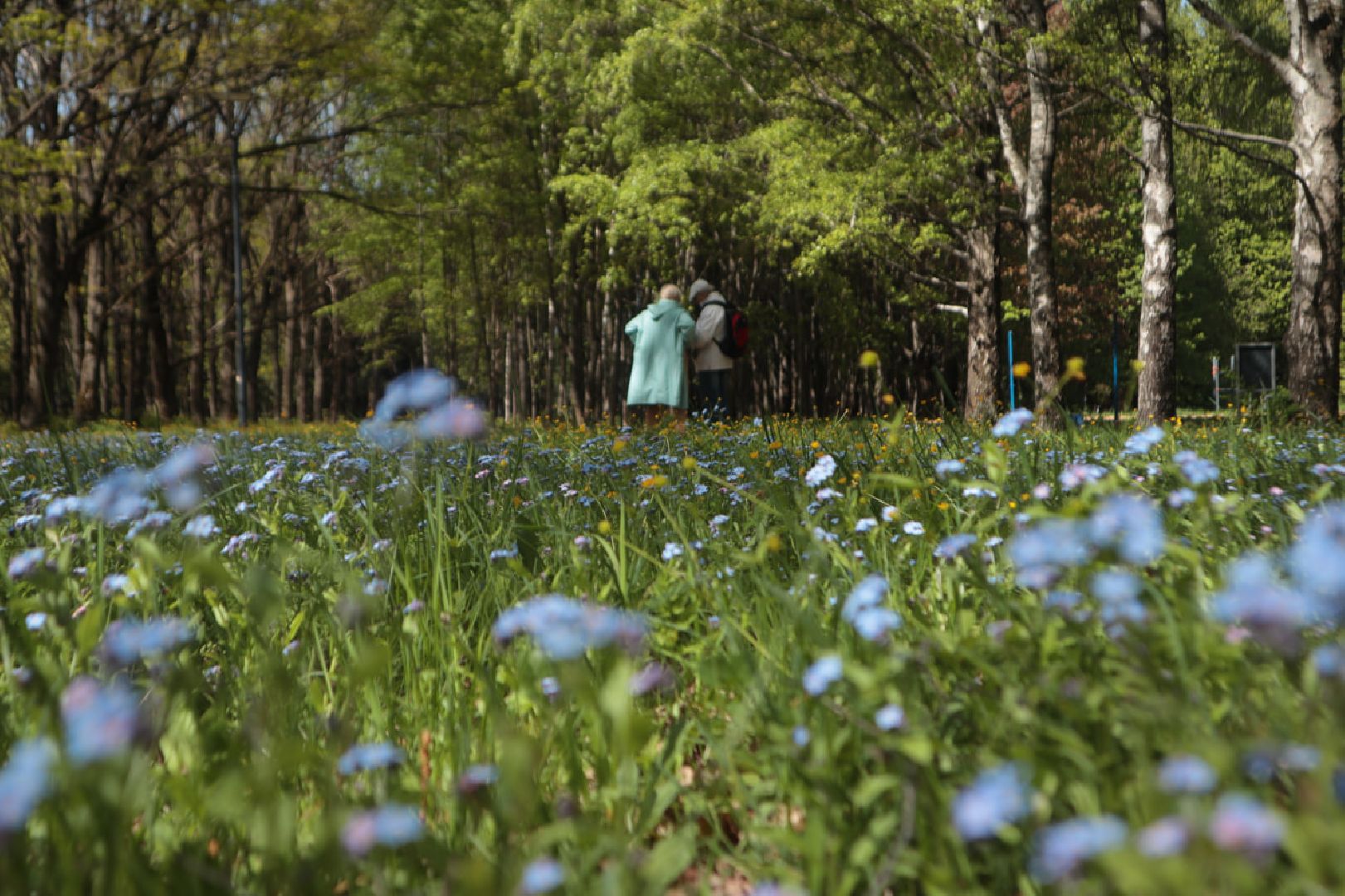 Пущино, экология