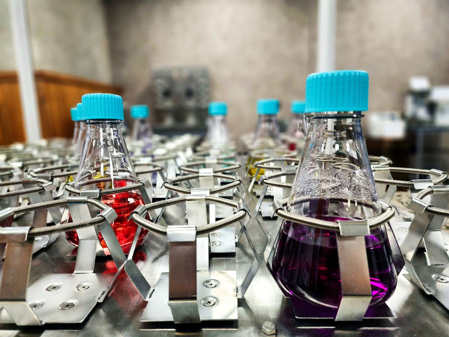 пущино, серпухов, наукоград, наука, медицина, репродуктивное здоровье,