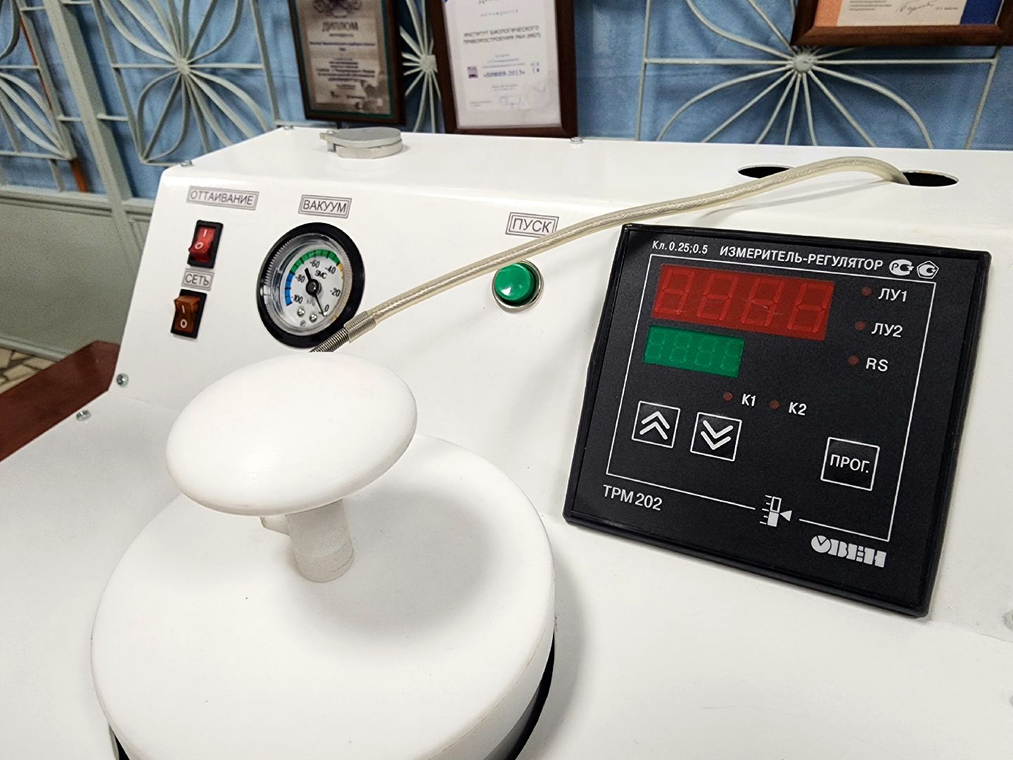 пущино, серпухов, наукоград, наука, медицина, репродуктивное здоровье,