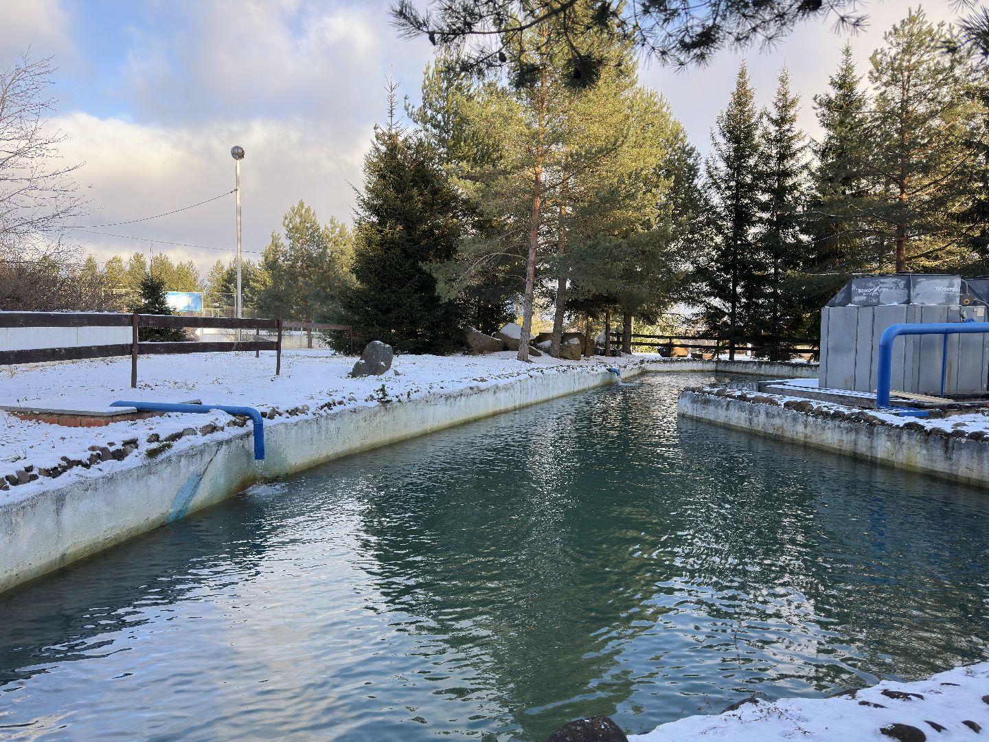 спорт, горнолыжный спорт, лыжи, Сноуборд, дмитровский городской округ,