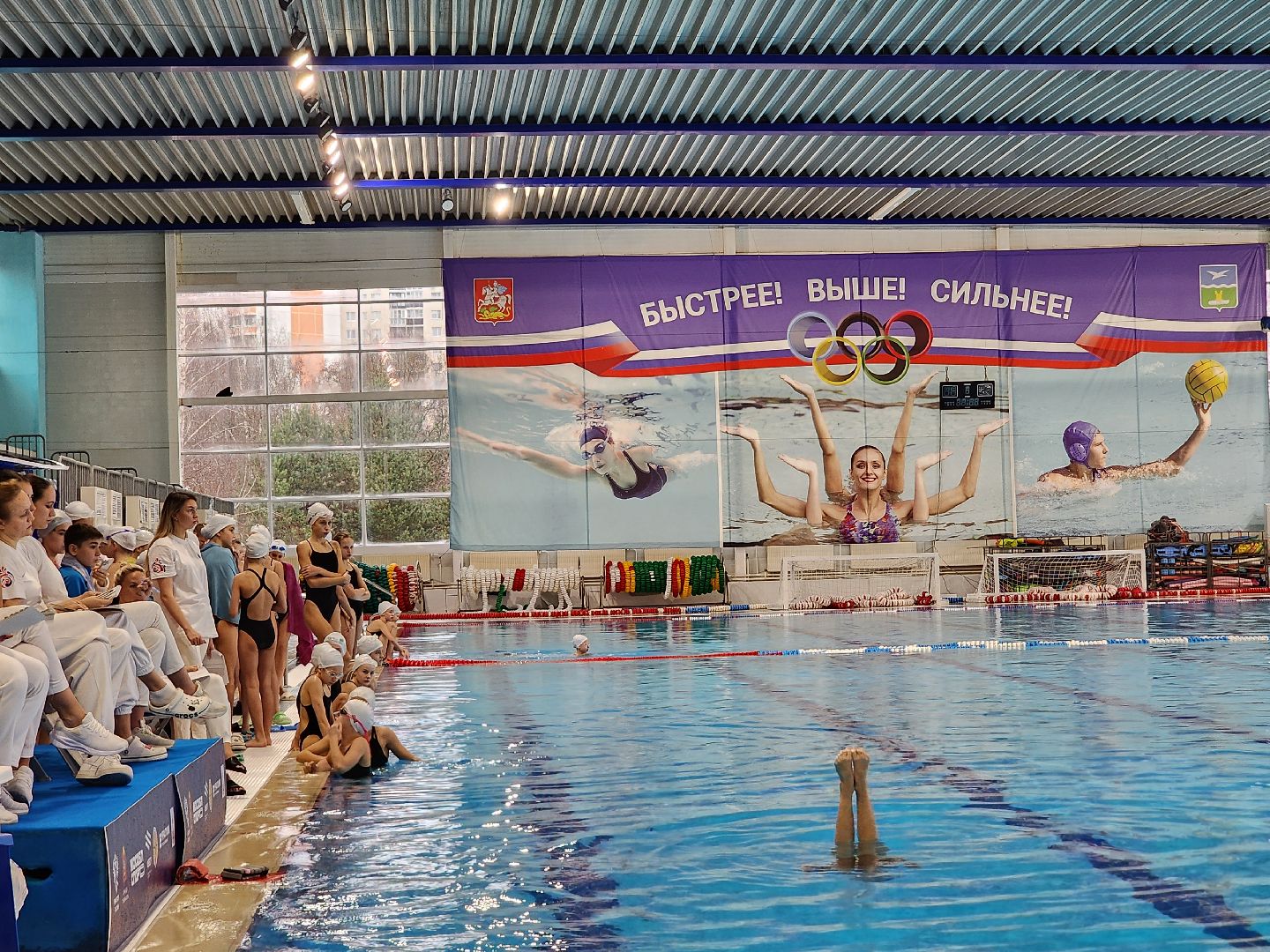 чехов, дворец спорта олимпийский, международный турнир, русская матрешка, синхронное плавание, дети до 13 лет, соревнования, фигуры,ольга брусникина, главный судья полина прощенко,показательные выступления, соло, дуэты, командные состязания, бассейн олимпийский,группы, комби,
