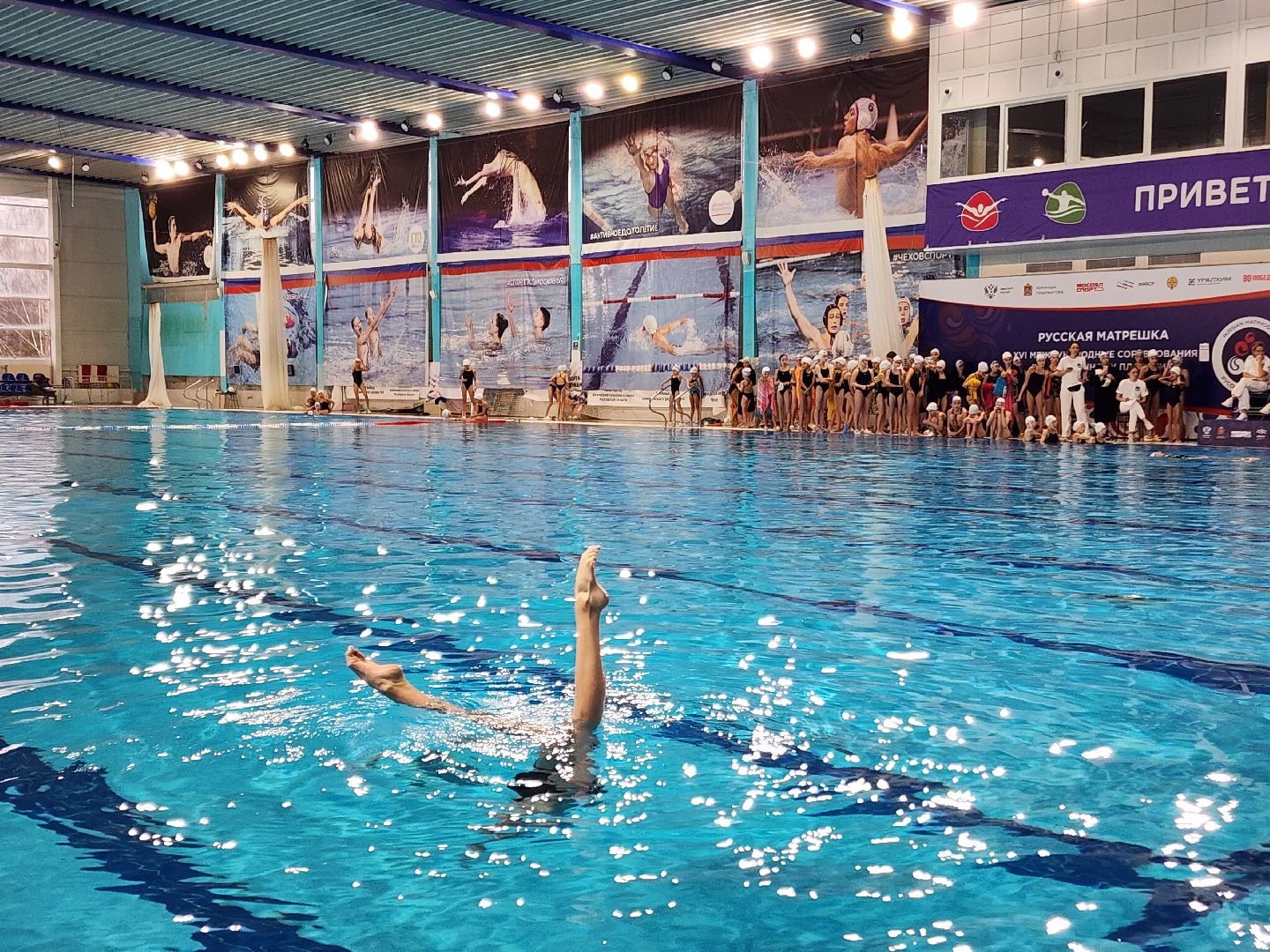 чехов, дворец спорта олимпийский, международный турнир, русская матрешка, синхронное плавание, дети до 13 лет, соревнования, фигуры,ольга брусникина, главный судья полина прощенко,показательные выступления, соло, дуэты, командные состязания, бассейн олимпийский,группы, комби,