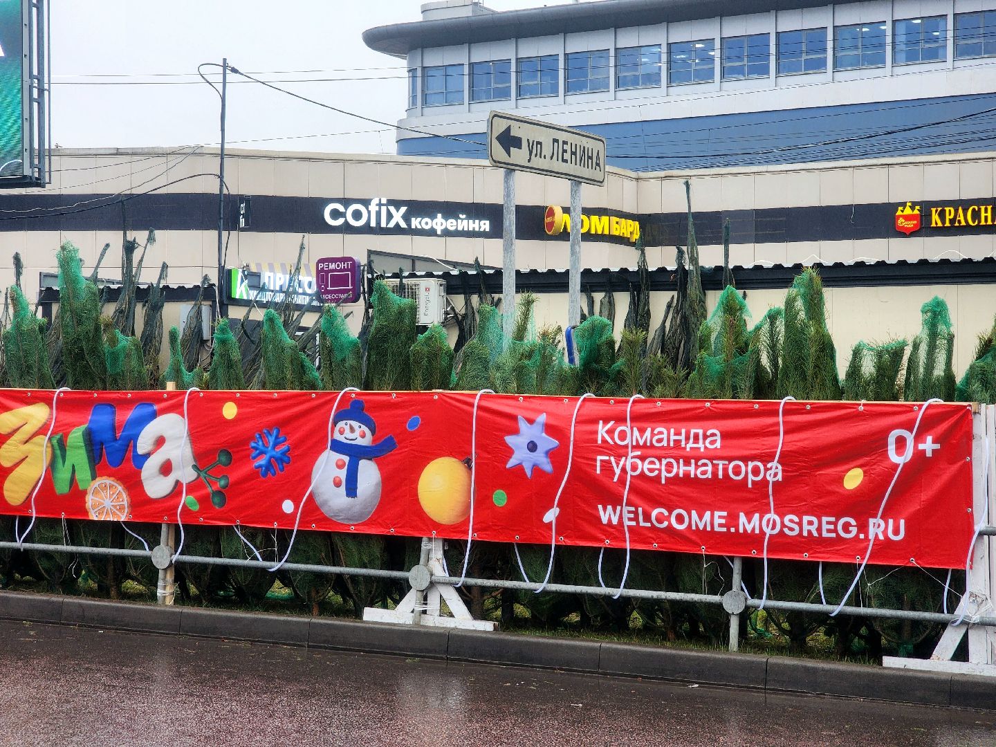 елочный базар, новый год, живые елки,