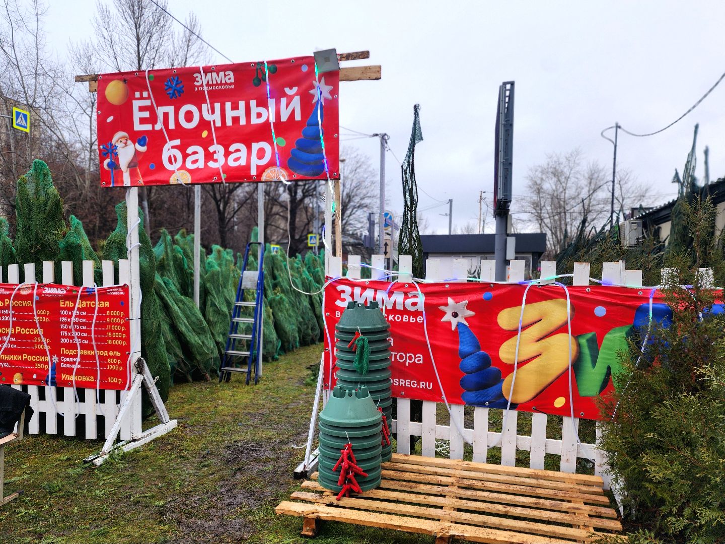 елочный базар, новый год, живые елки,