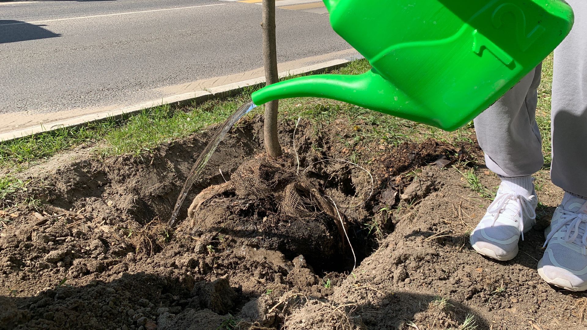 Ступино, Лес Победы, День Победы