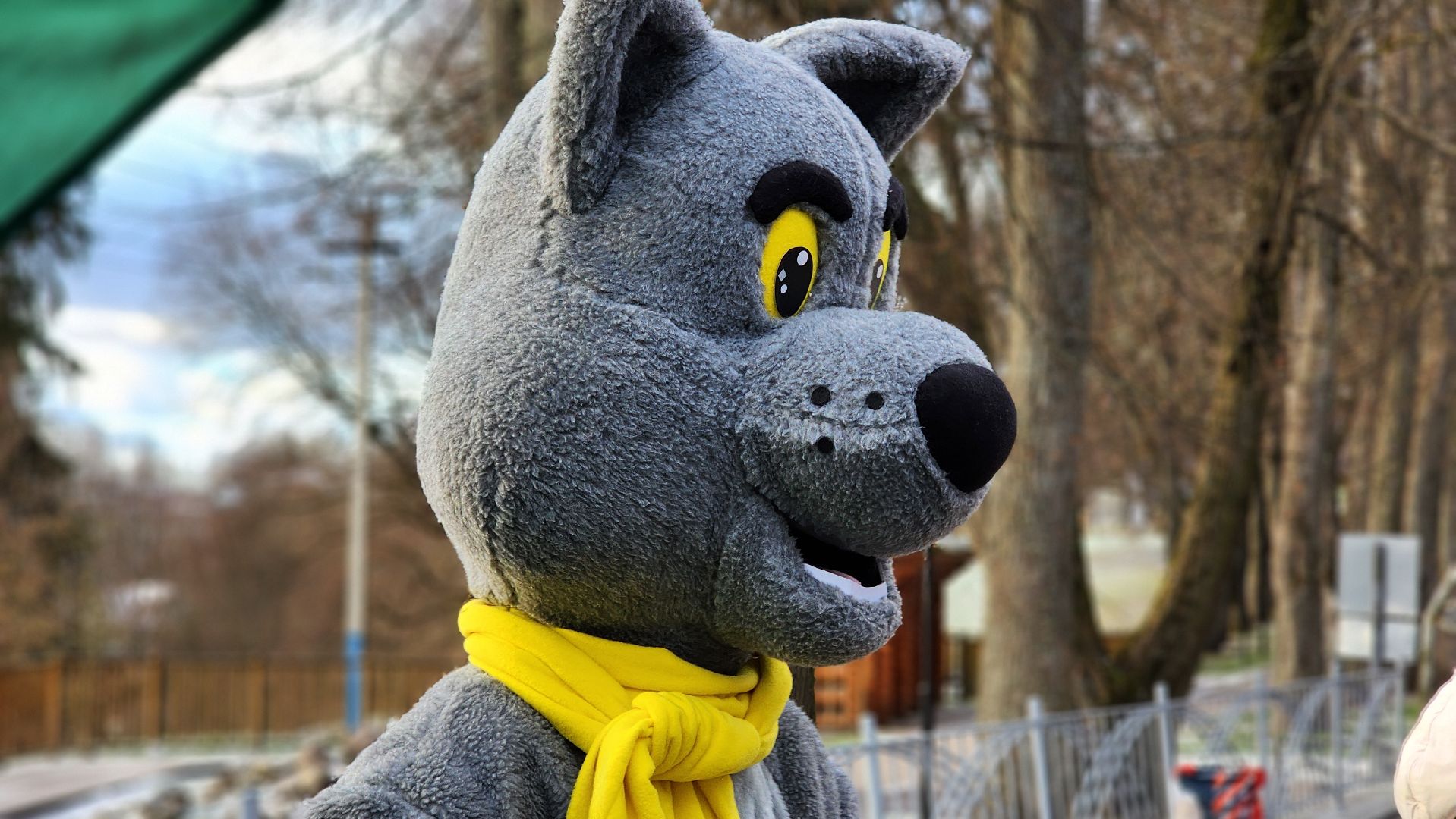 Руза, Парк городок , Общество ,