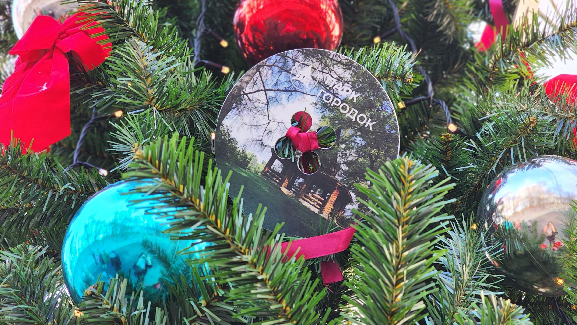 Руза, Парк городок , Общество ,