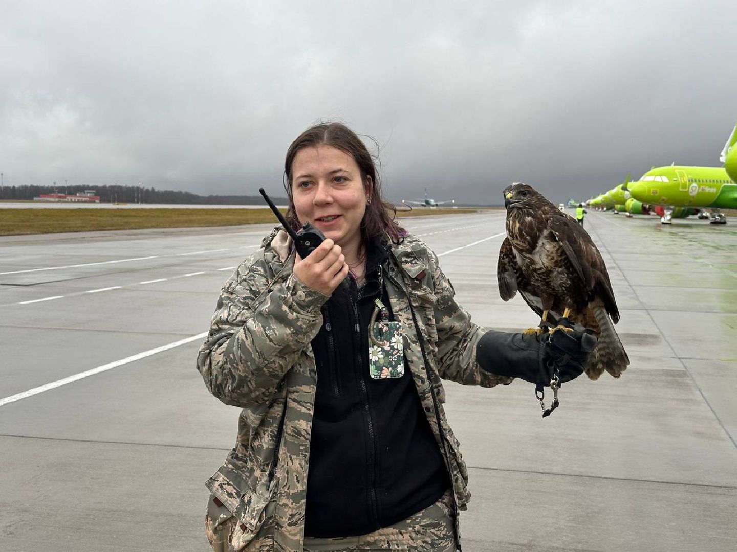 аэропорт домодедово, орнитолог, птицы,