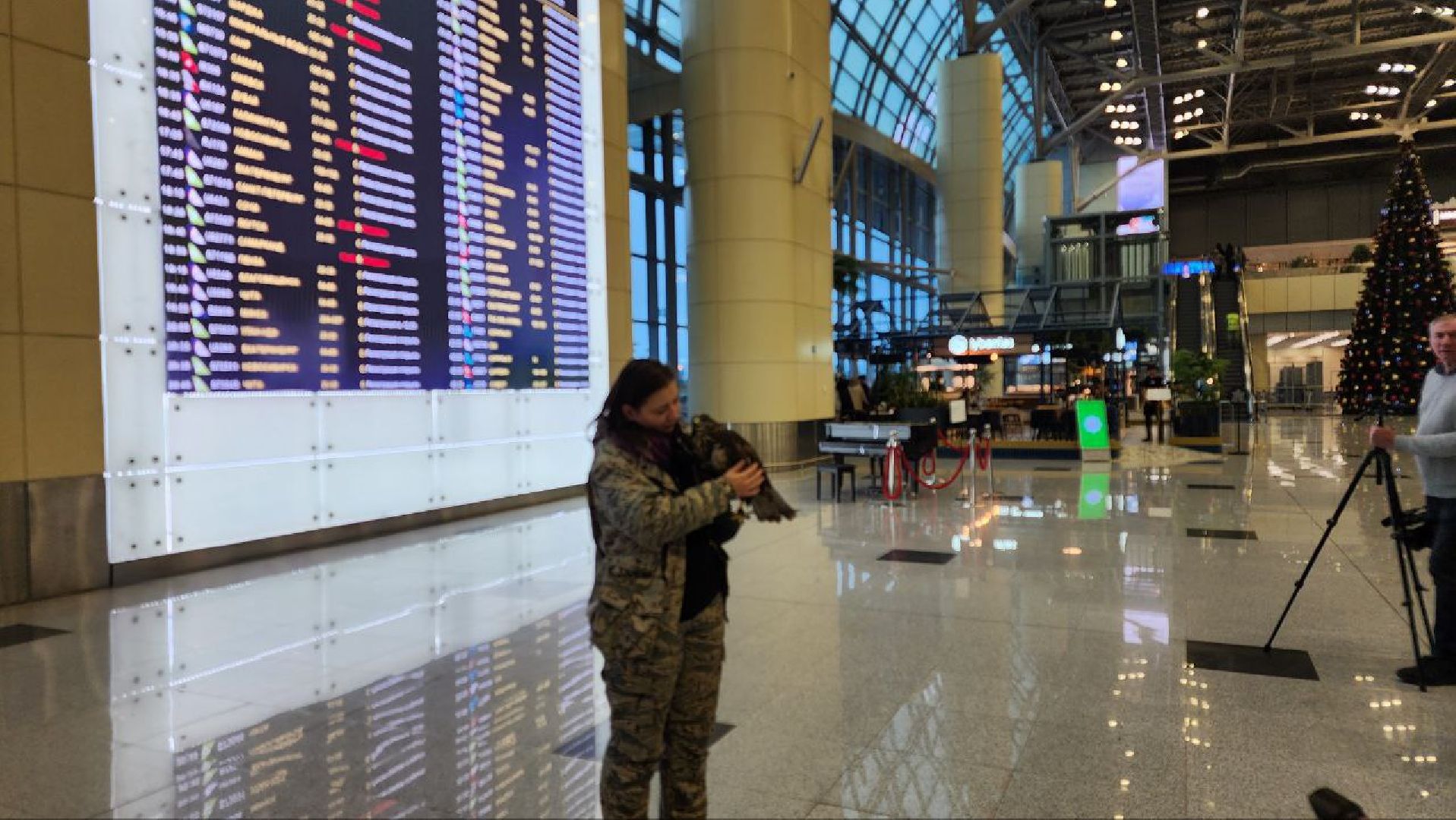 аэропорт домодедово, орнитолог, птицы,