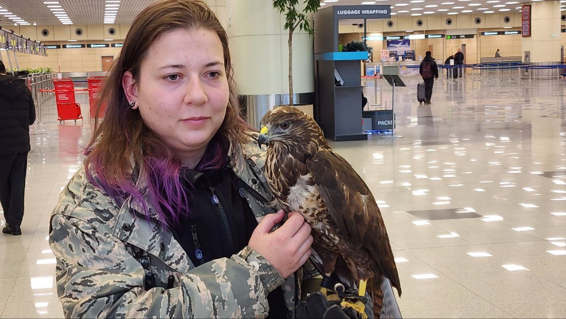 аэропорт домодедово, орнитолог, птицы,