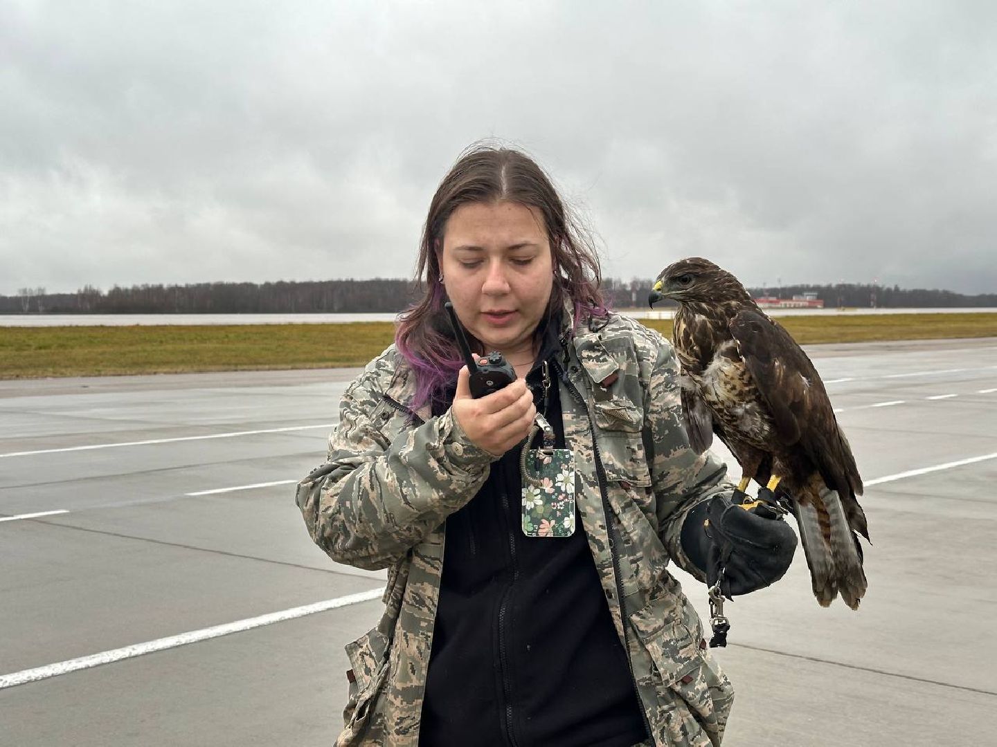 аэропорт домодедово, орнитолог, птицы,