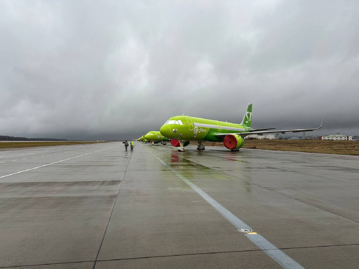 аэропорт домодедово, орнитолог, птицы,