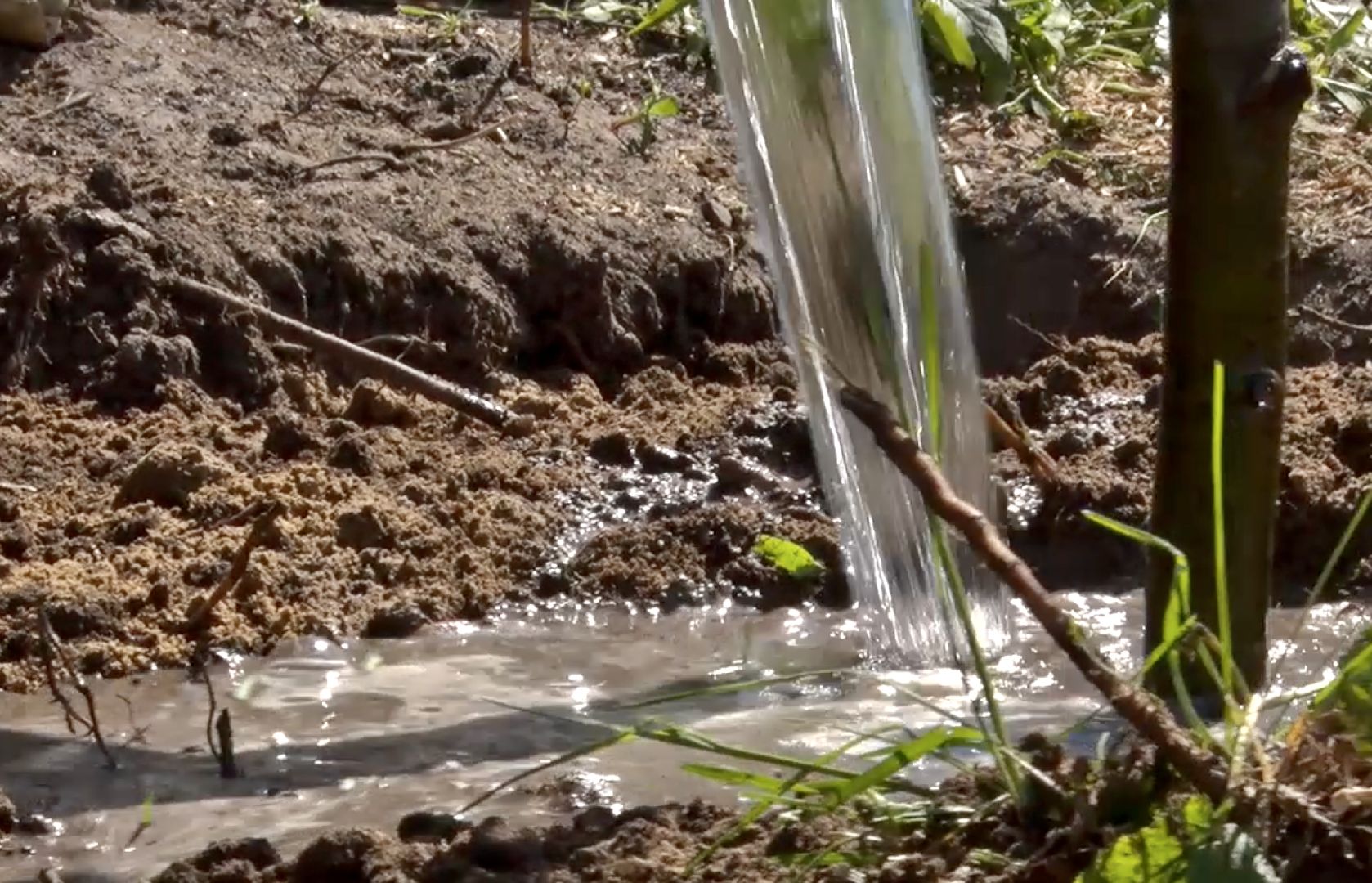 Клин, благоустройство, лес победы, общество