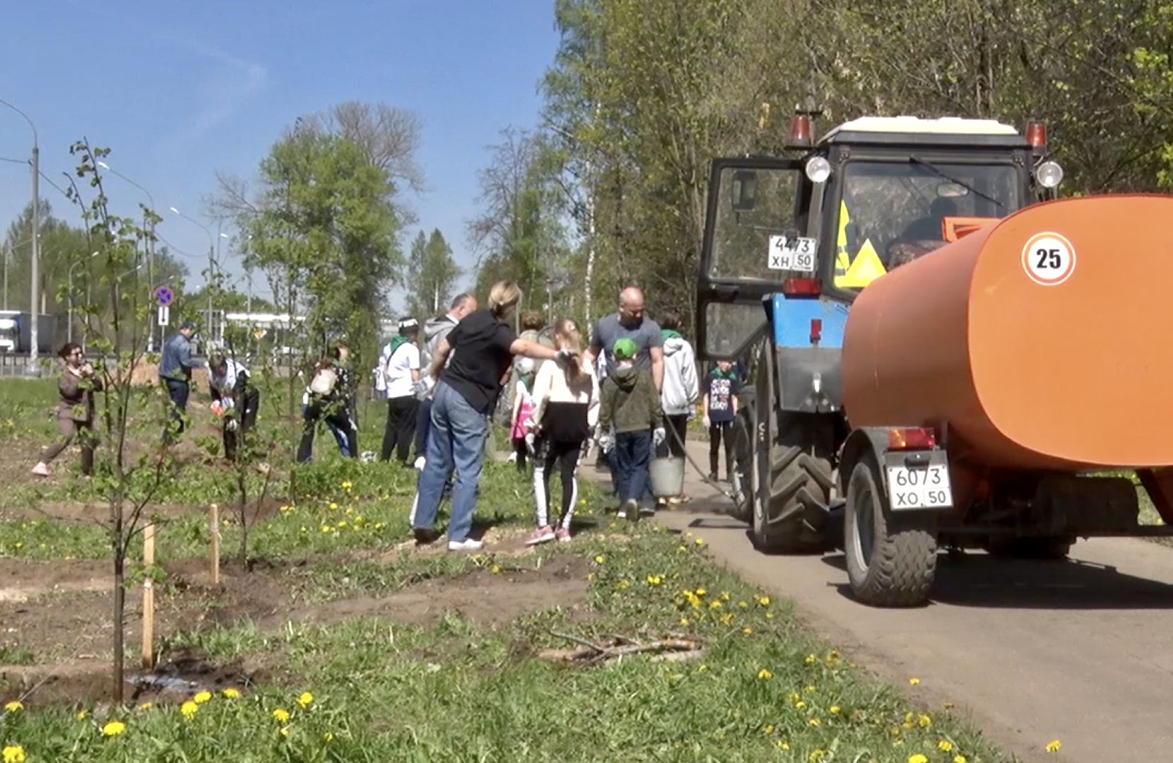 Клин, благоустройство, лес победы, общество