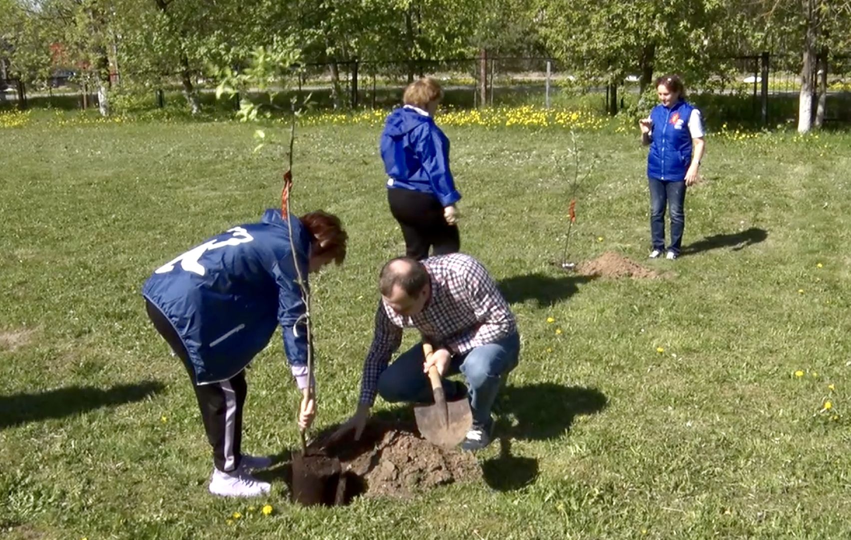 Клин, благоустройство, лес победы, общество