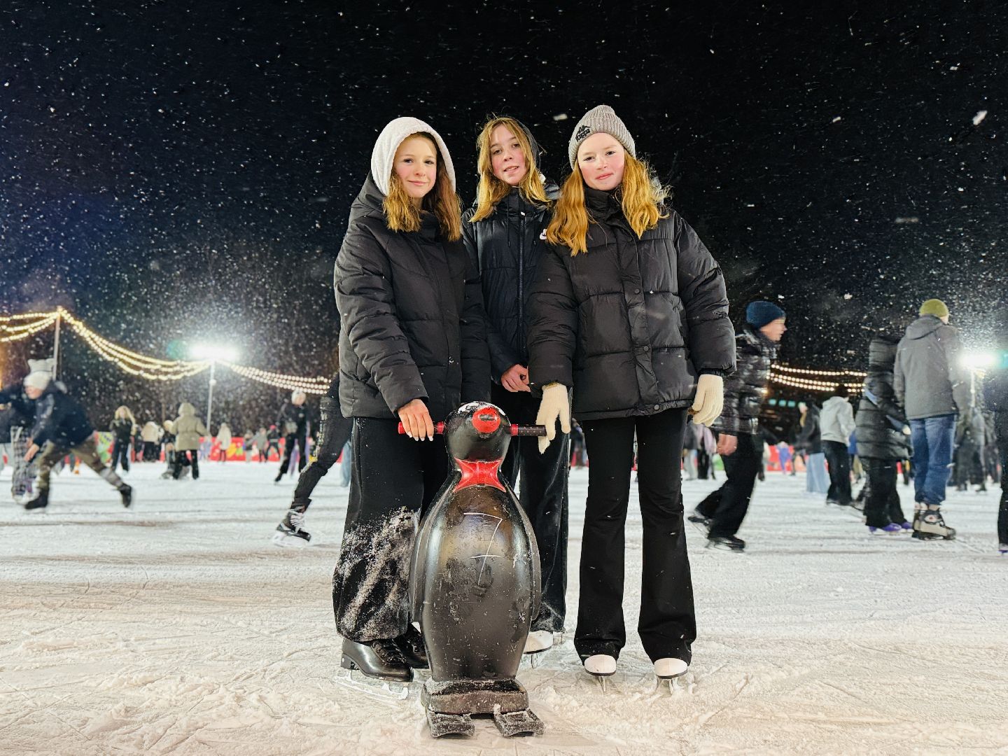 раменское, каток в раменском, зимние забавы, зимний туризм, катки подмосковья, зима в подмосковье,