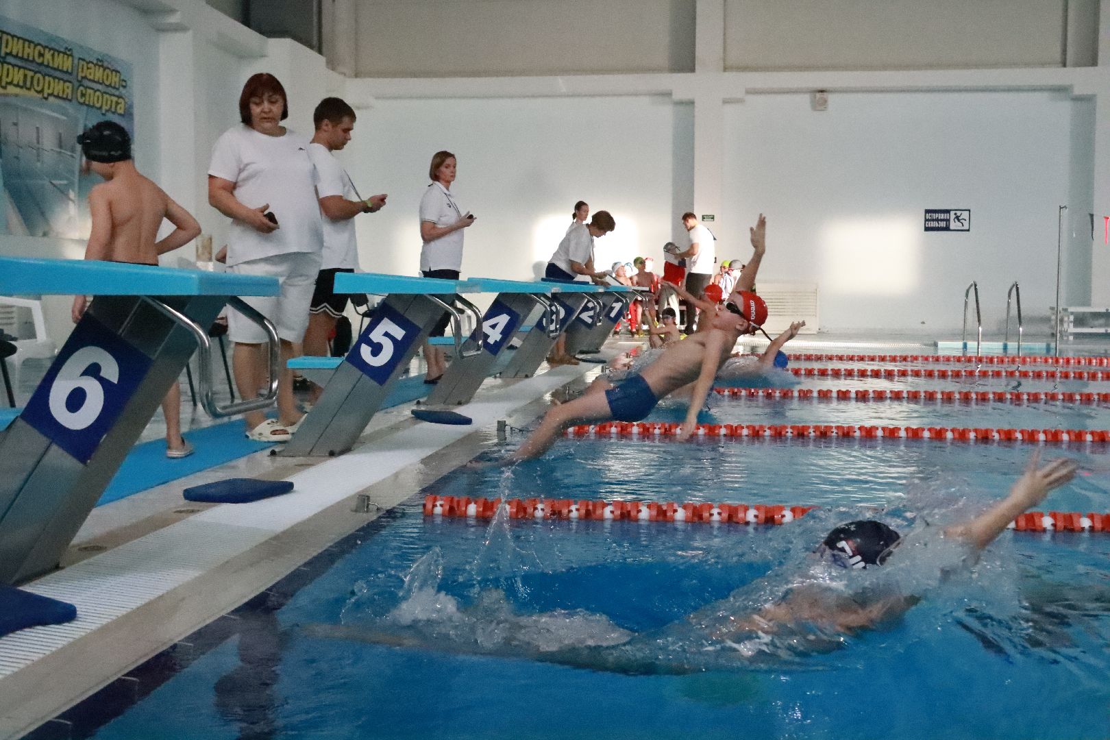 истра, спорт, плавание, соревнования,