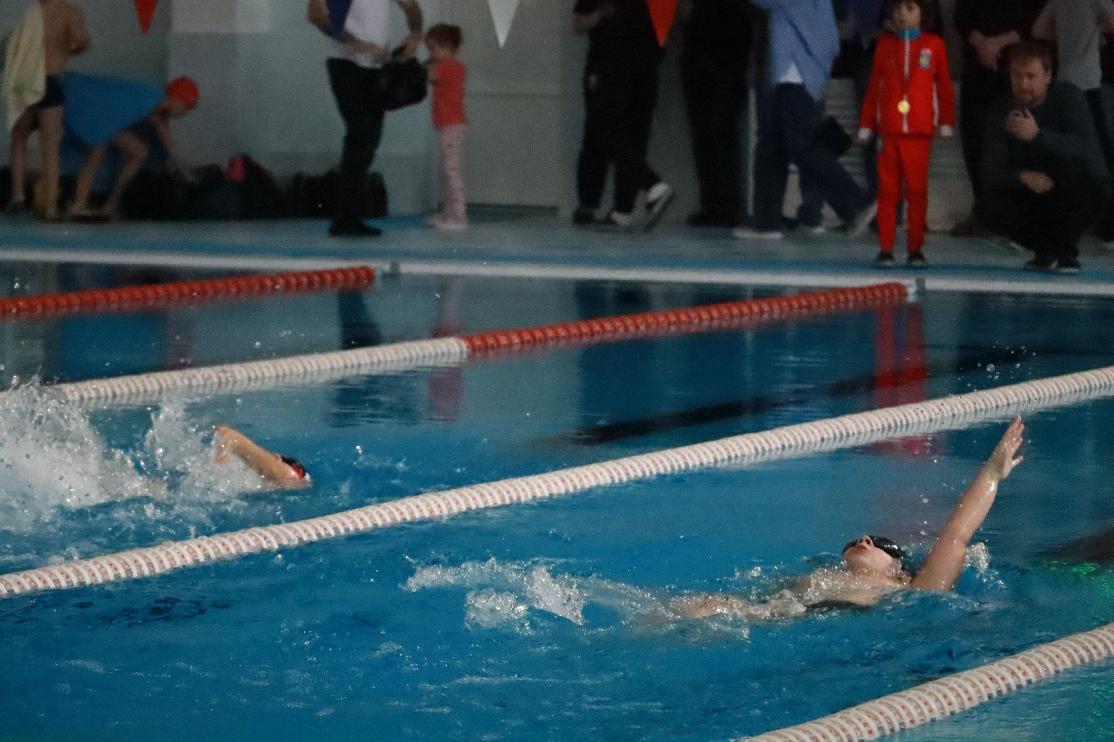 истра, спорт, плавание, соревнования,