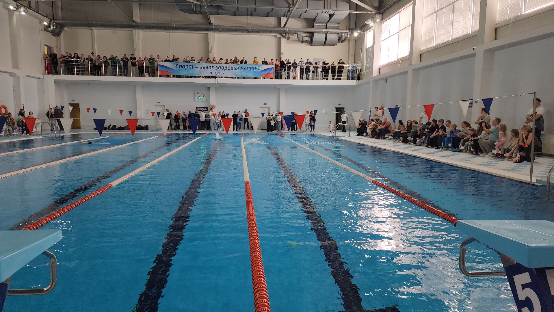 истра, спорт, плавание, соревнования,