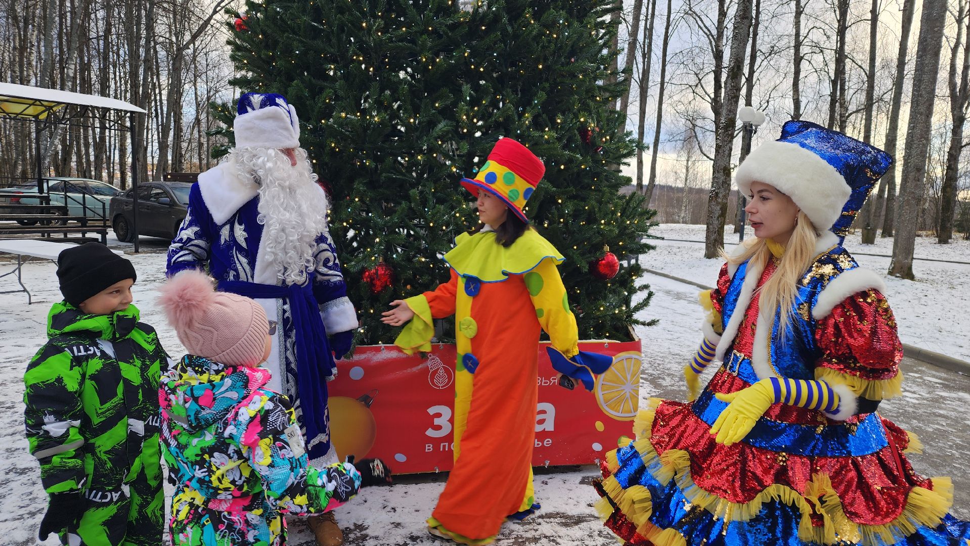 волоколамск, городской парк, зима в  подмосковье,
