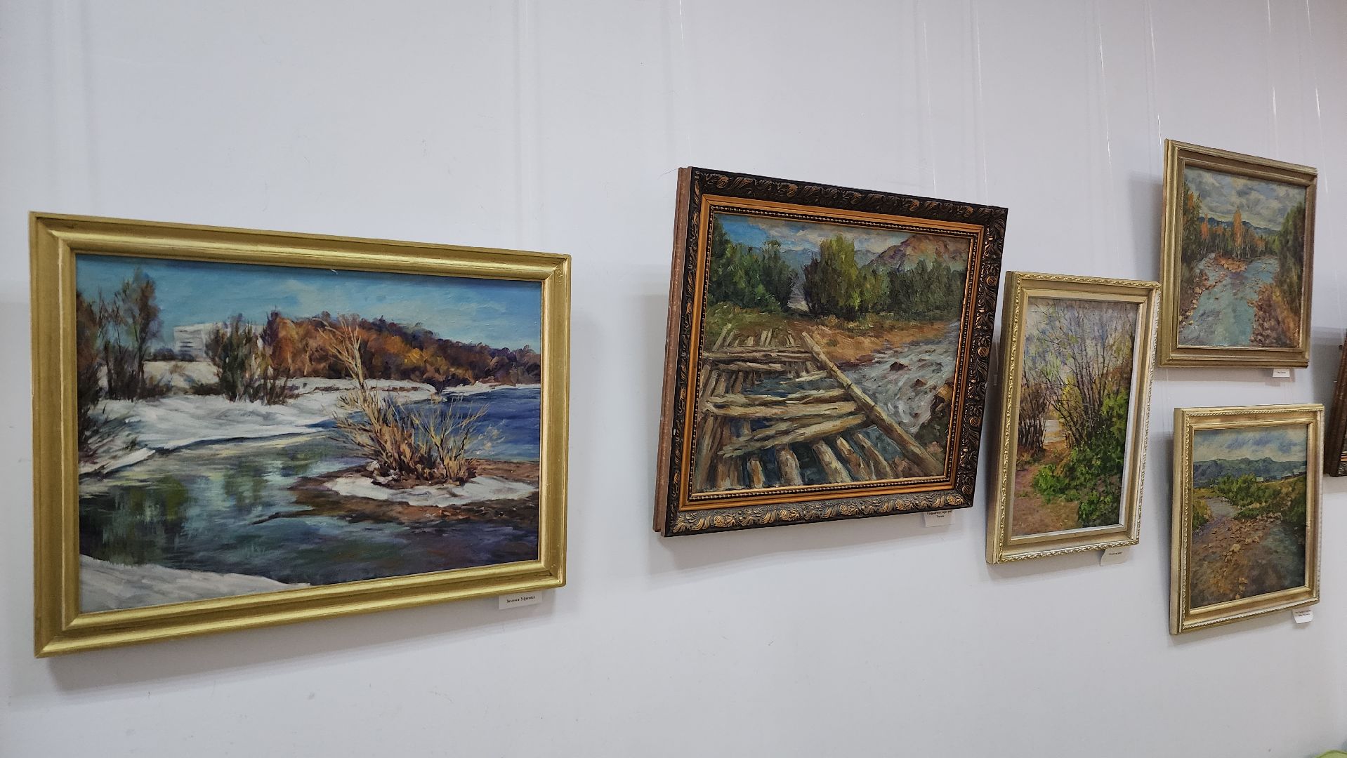 волоколамск, волоколамская библиотека, выставка картин,