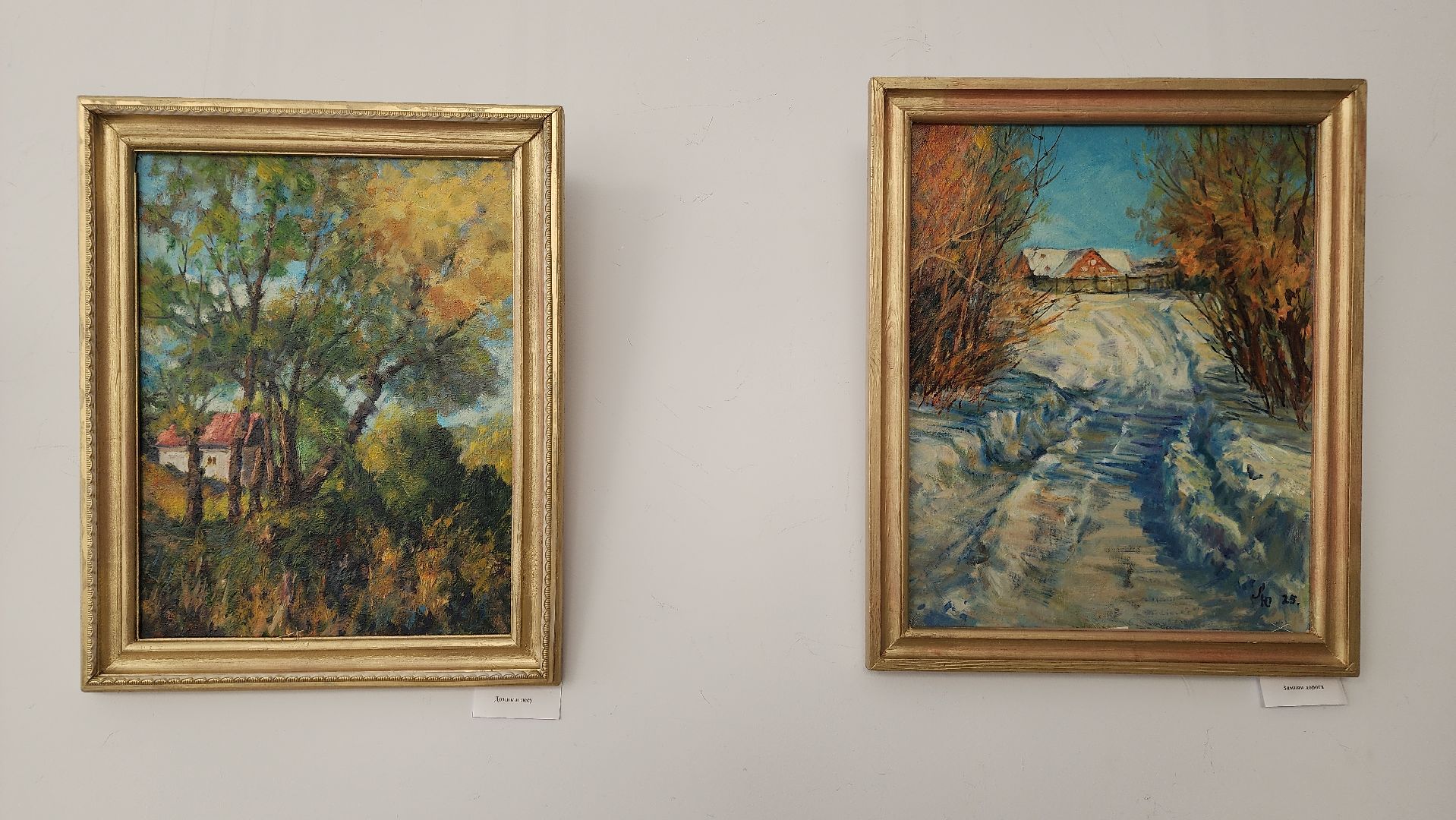 волоколамск, волоколамская библиотека, выставка картин,