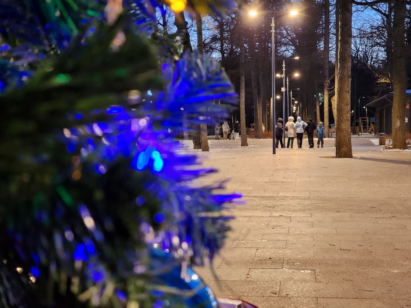 Подольск, Климовск, Парк Дубрава,парки подмосковья,