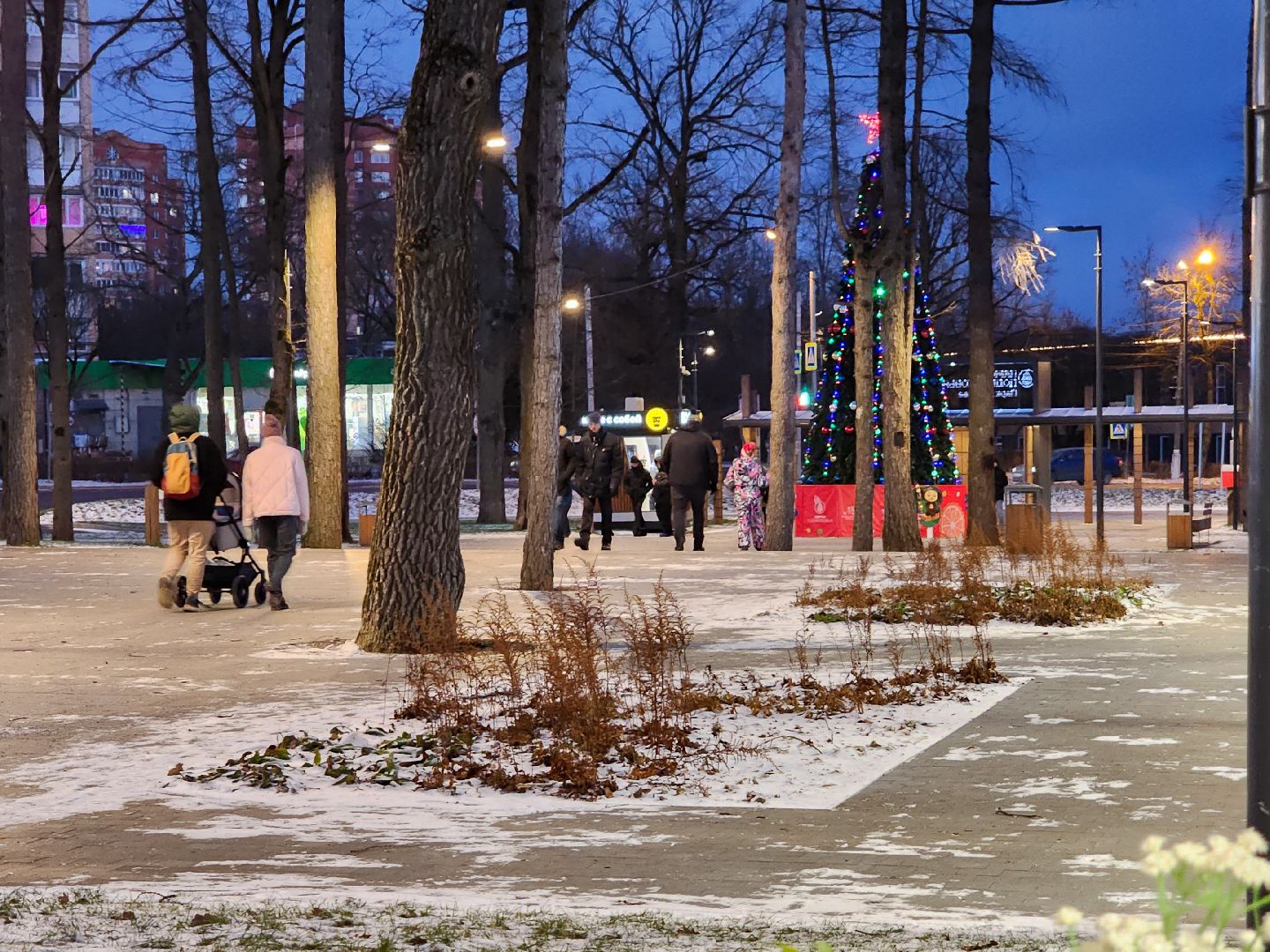Подольск, Климовск, Парк Дубрава,парки подмосковья,
