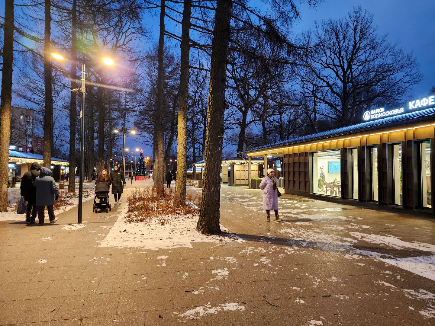 Подольск, Климовск, Парк Дубрава,парки подмосковья,