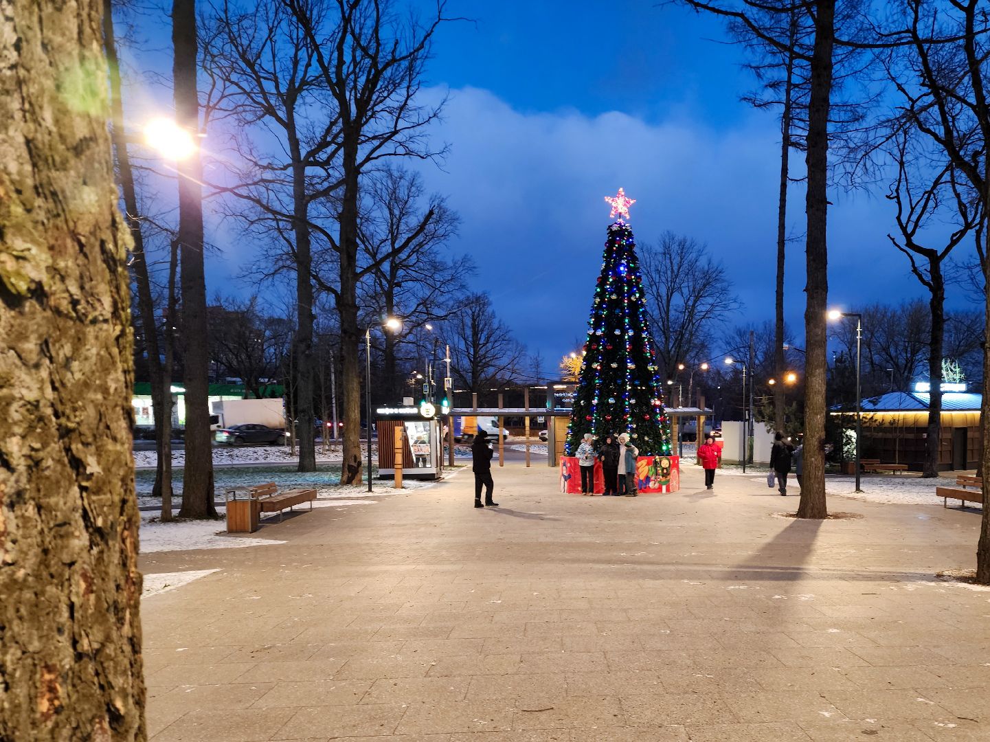 Подольск, Климовск, Парк Дубрава,парки подмосковья,