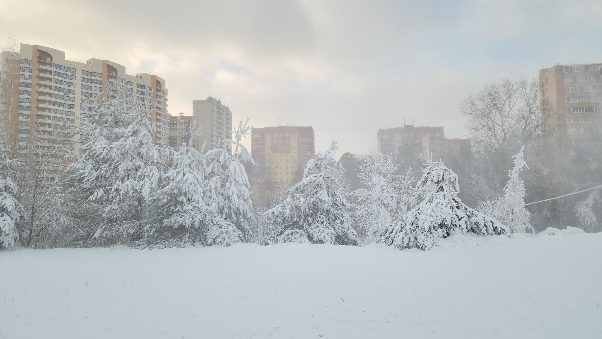 лыжный стадион, снеговые пушки, зима в  подмосковье, красногорск,
