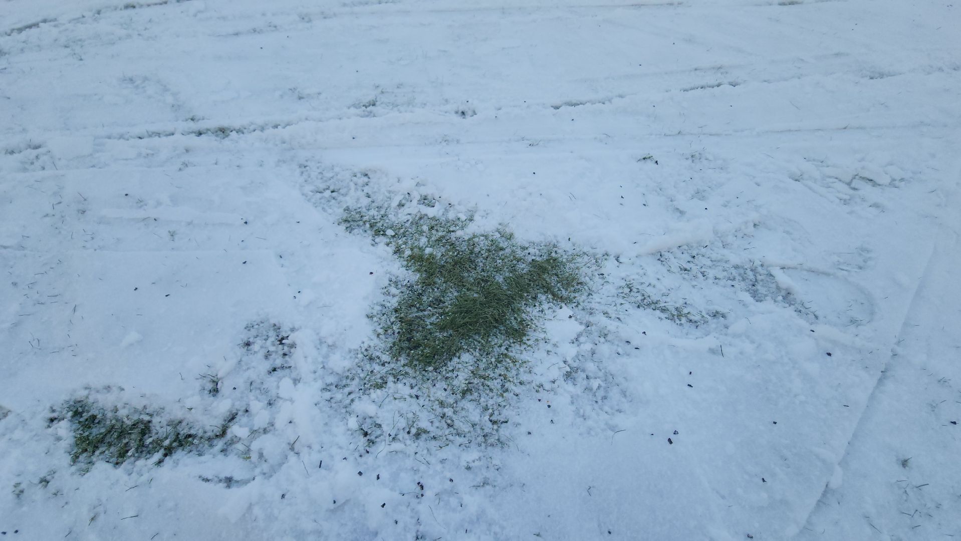 лыжный стадион, снеговые пушки, зима в  подмосковье, красногорск,