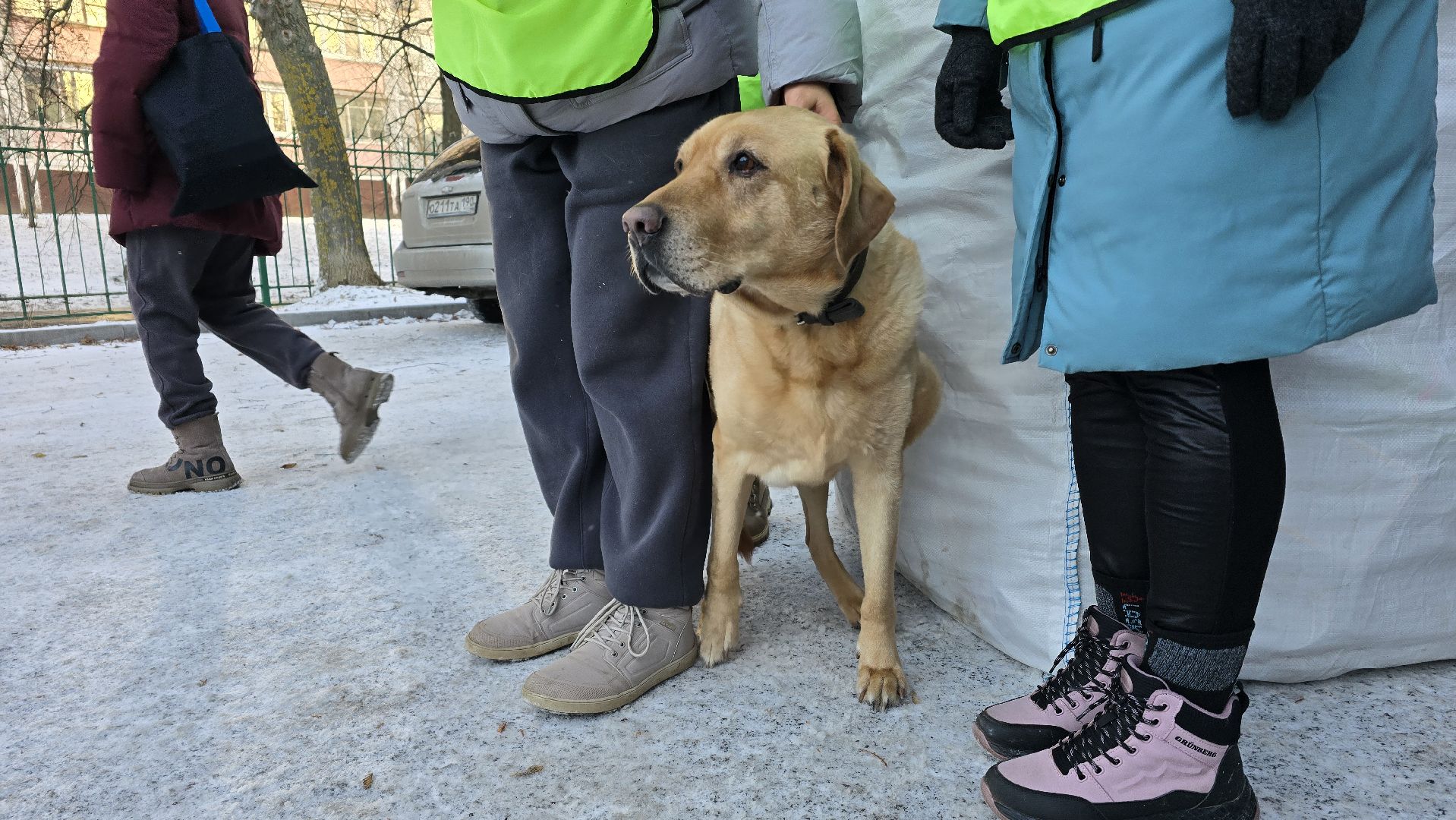 Коломна , экологическая акция, раздельный сбор отходов,