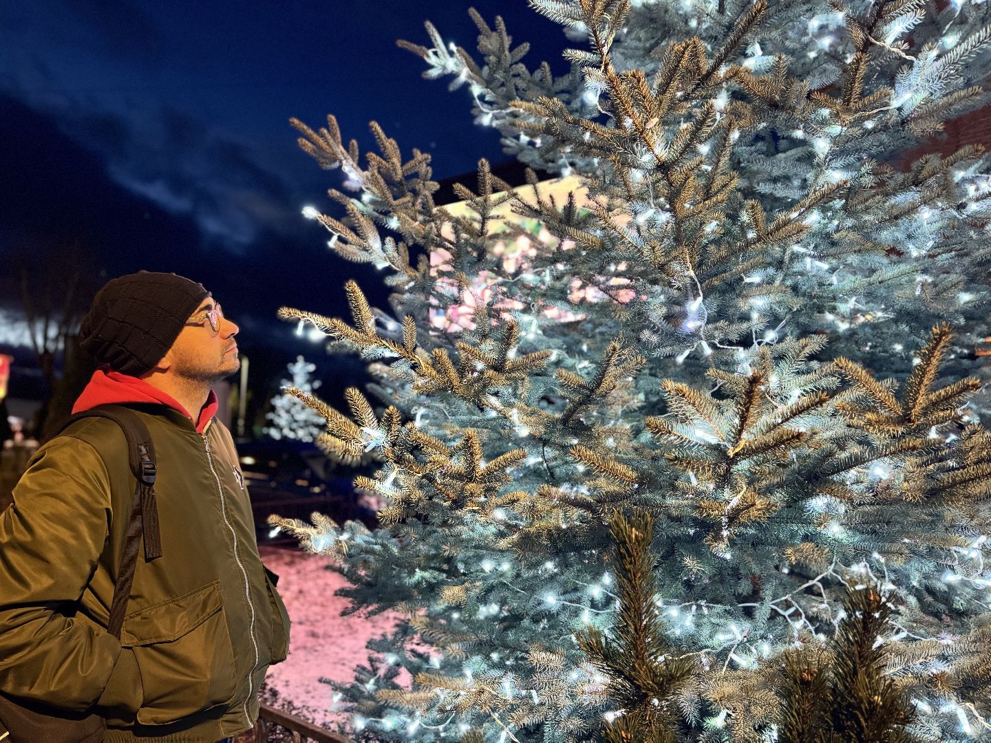 шаховская школа, новогодние украшения, зима в  подмосковье,