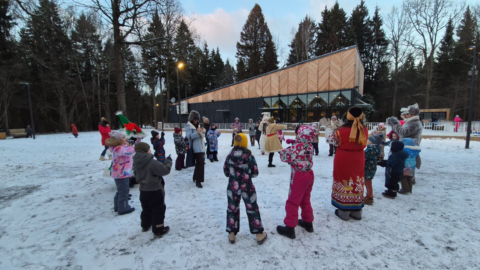 Апрелевка, нарофоминскийгородскойокруг, зимавподмосковье,