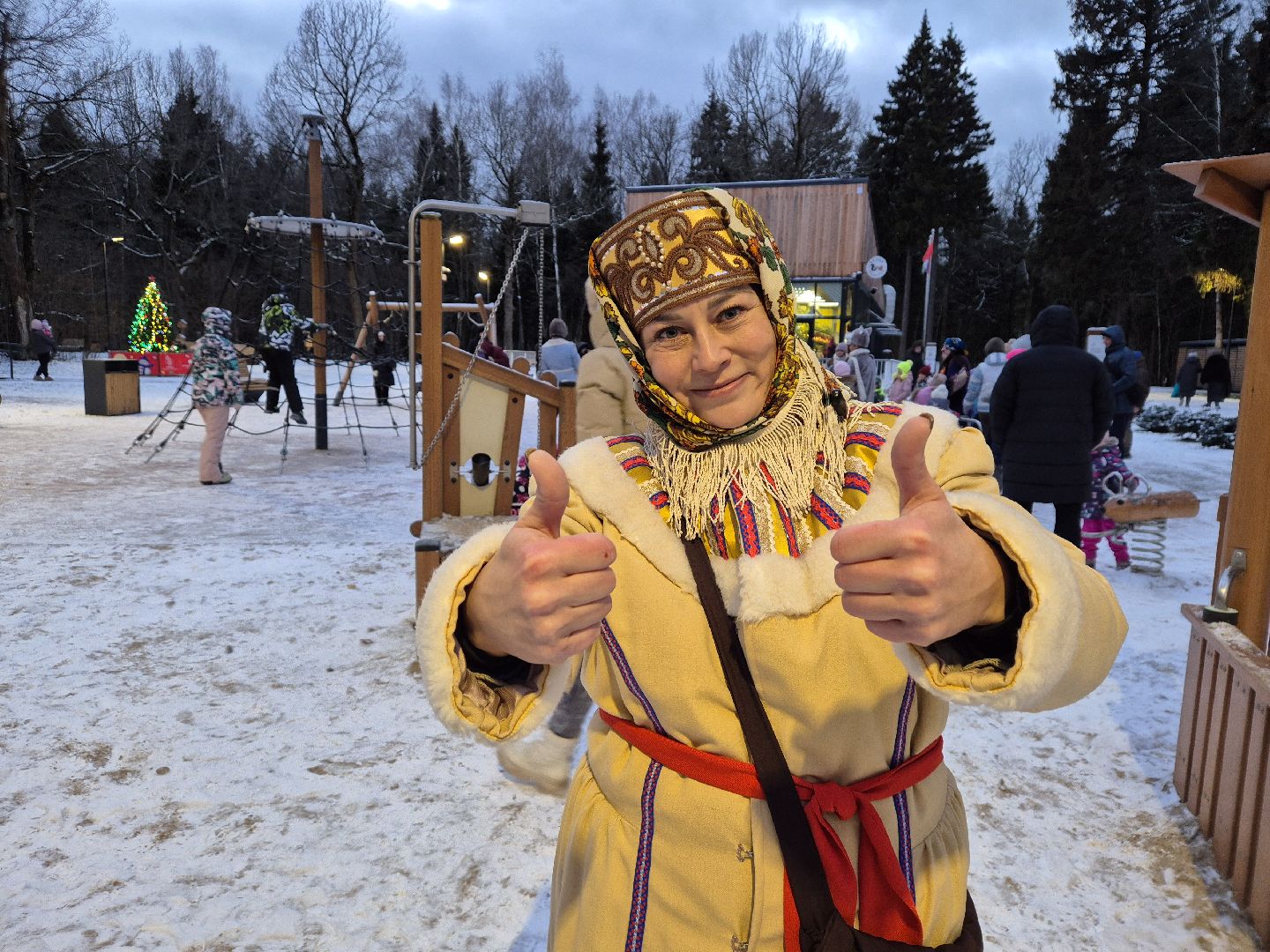 Апрелевка, нарофоминскийгородскойокруг, зимавподмосковье,
