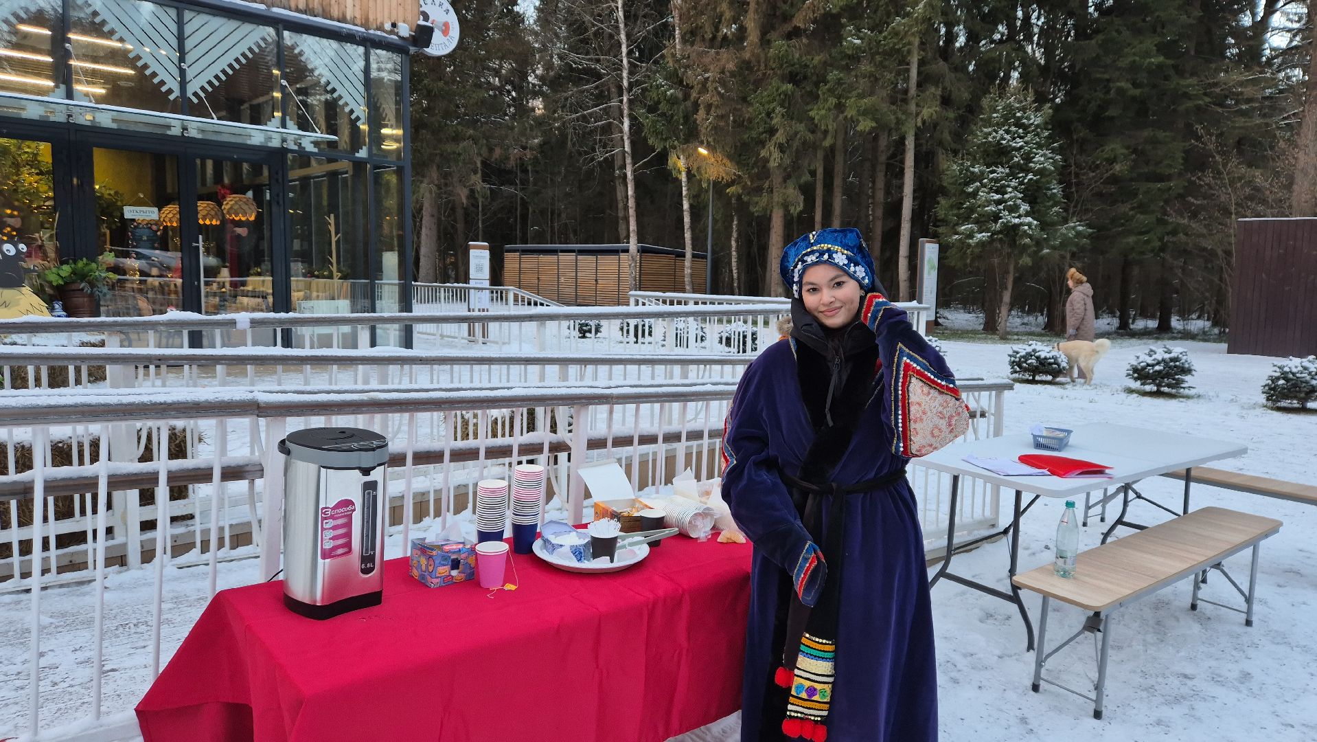 Апрелевка, нарофоминскийгородскойокруг, зимавподмосковье,