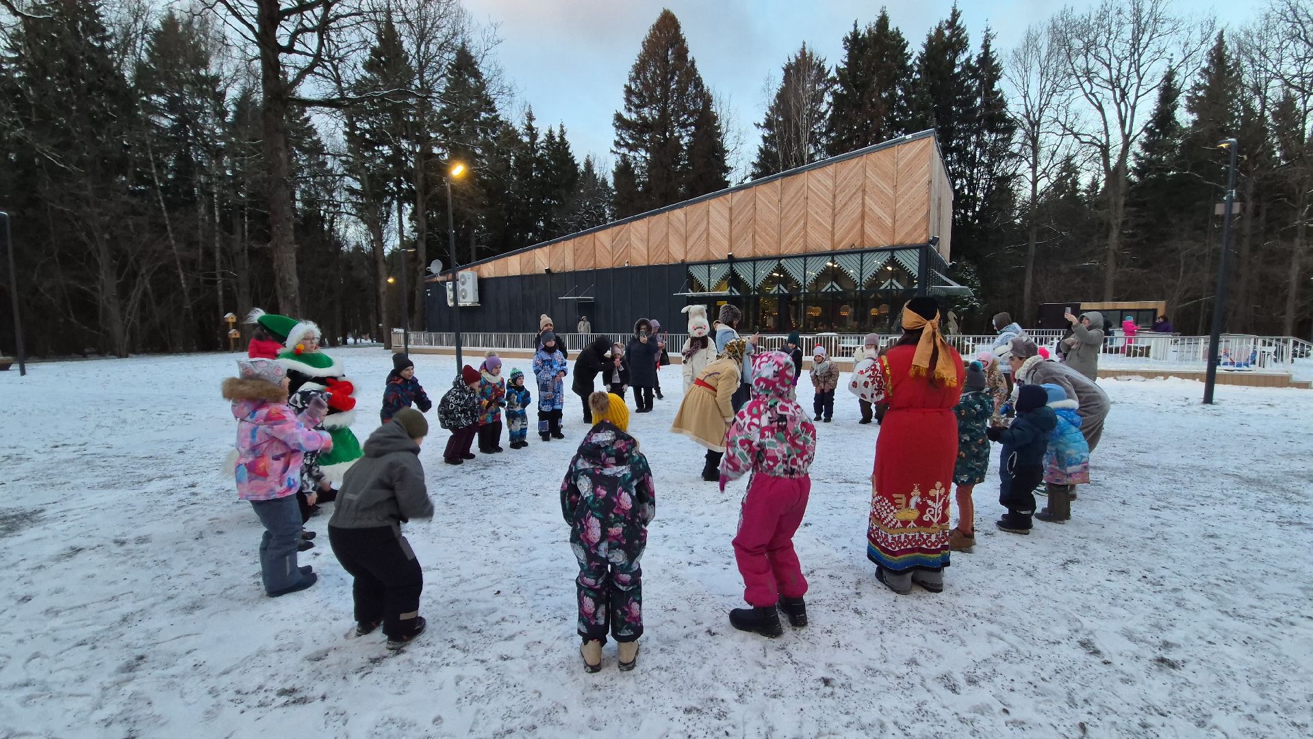 Апрелевка, нарофоминскийгородскойокруг, зимавподмосковье,