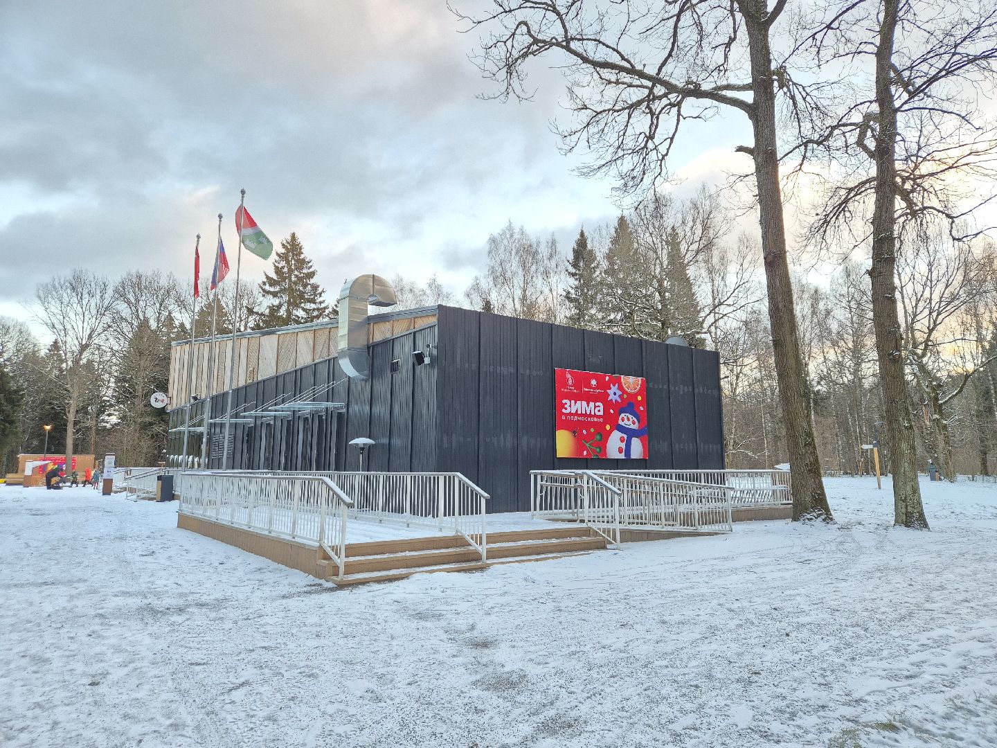 Апрелевка, нарофоминскийгородскойокруг, зимавподмосковье,