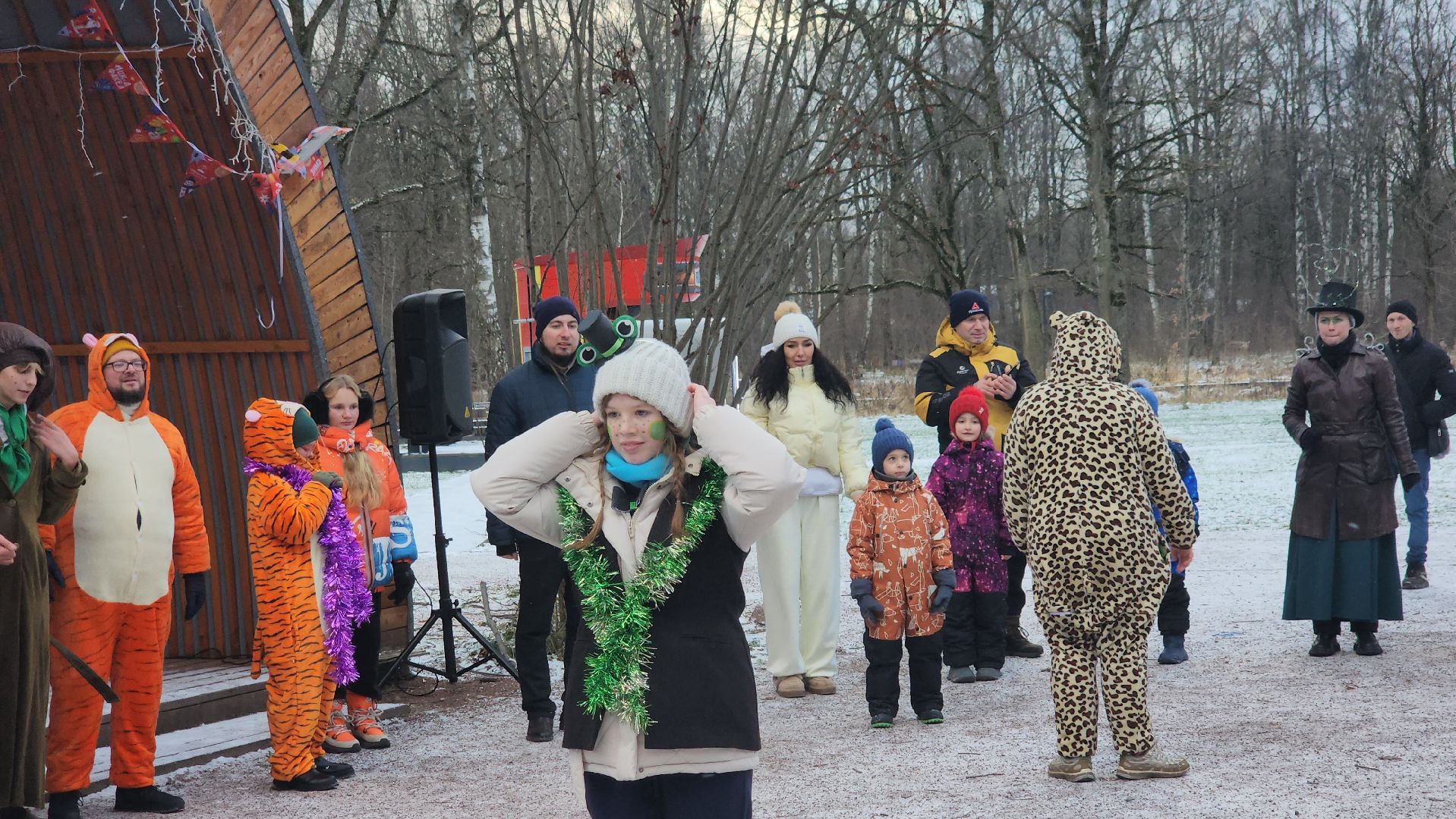 фрязино,  зима в подмосковье, парки сказки торжество,