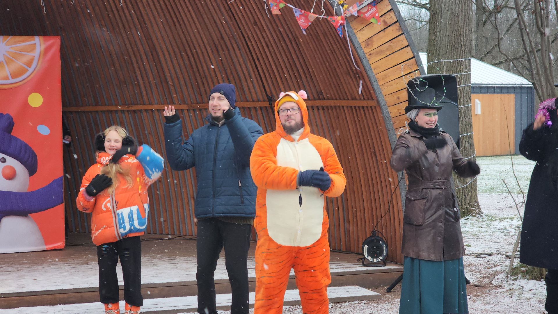 фрязино,  зима в подмосковье, парки сказки торжество,