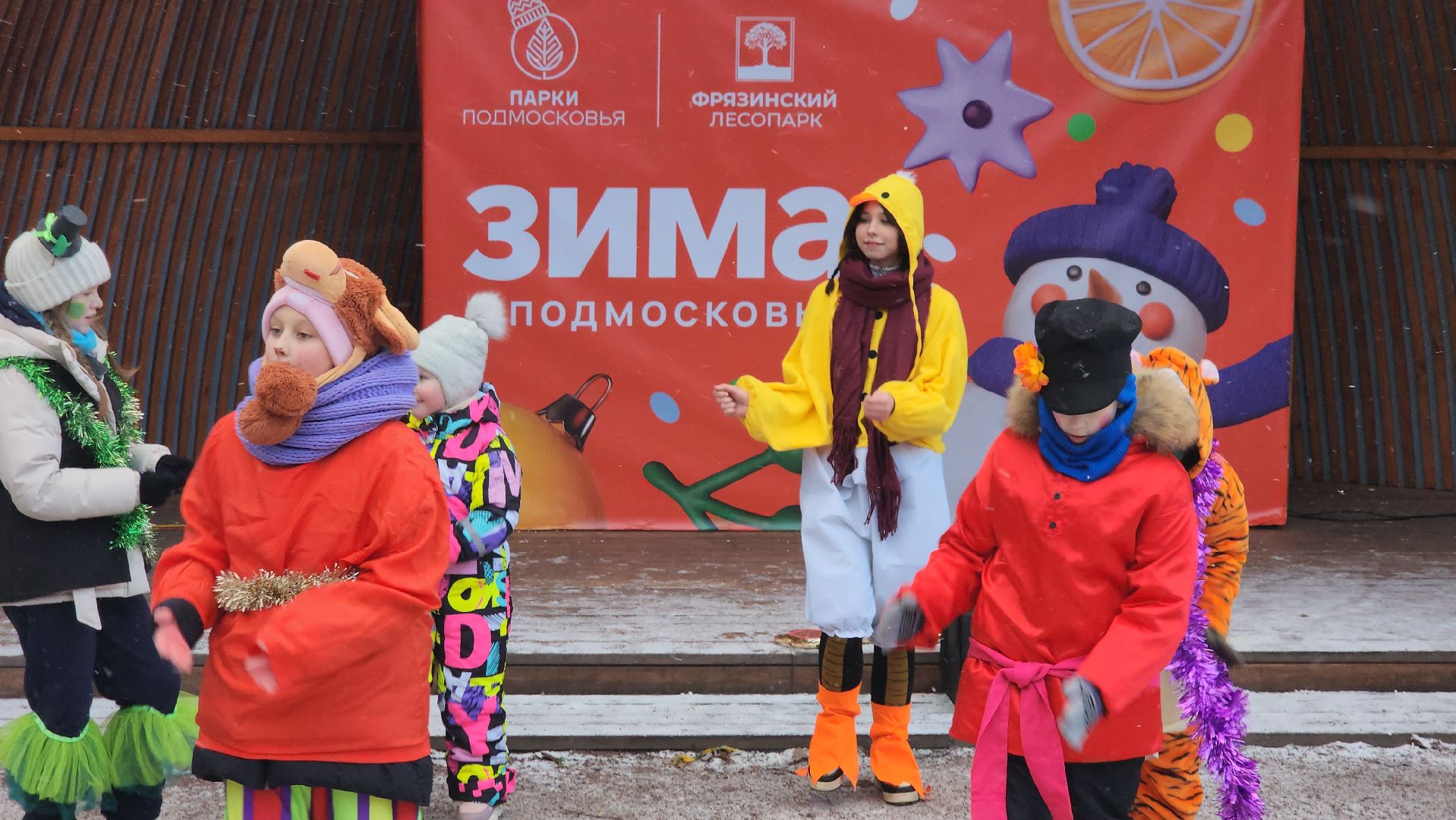 фрязино,  зима в подмосковье, парки сказки торжество,