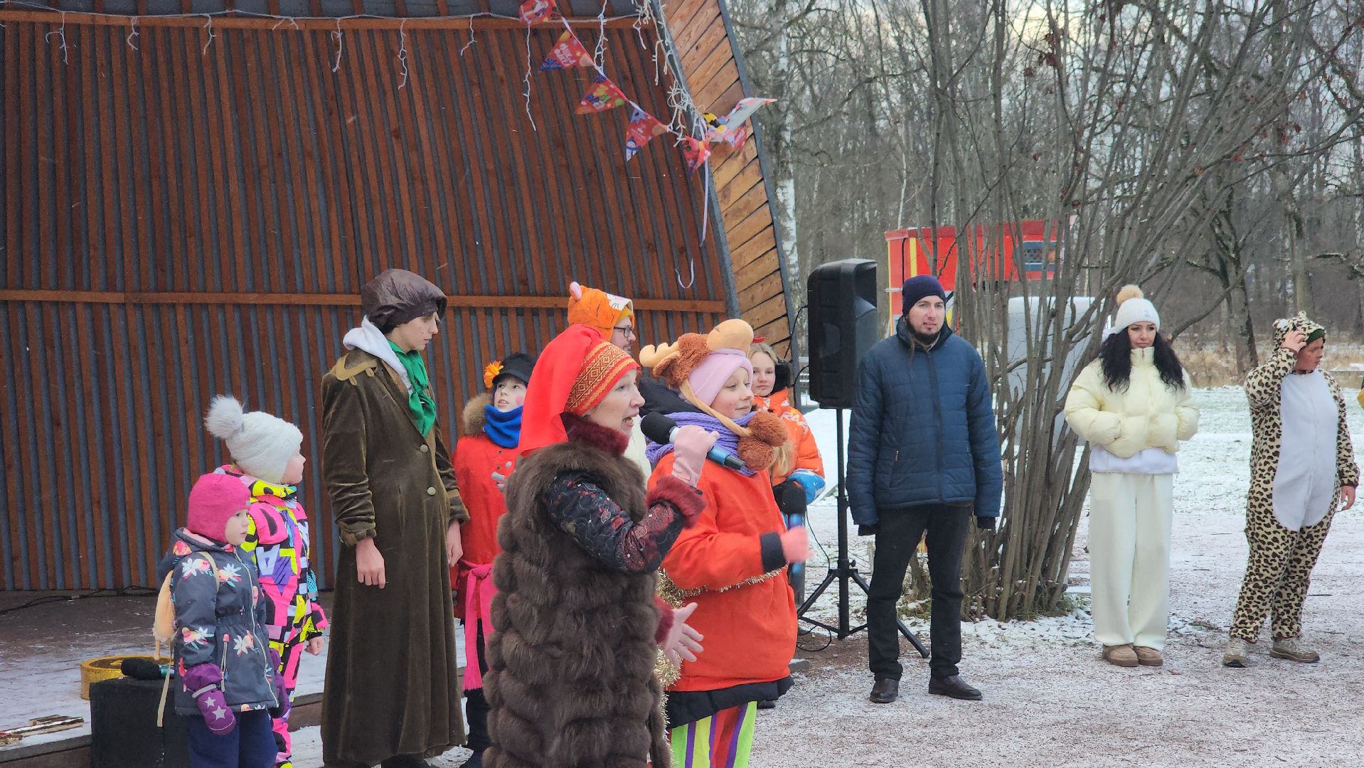 фрязино,  зима в подмосковье, парки сказки торжество,