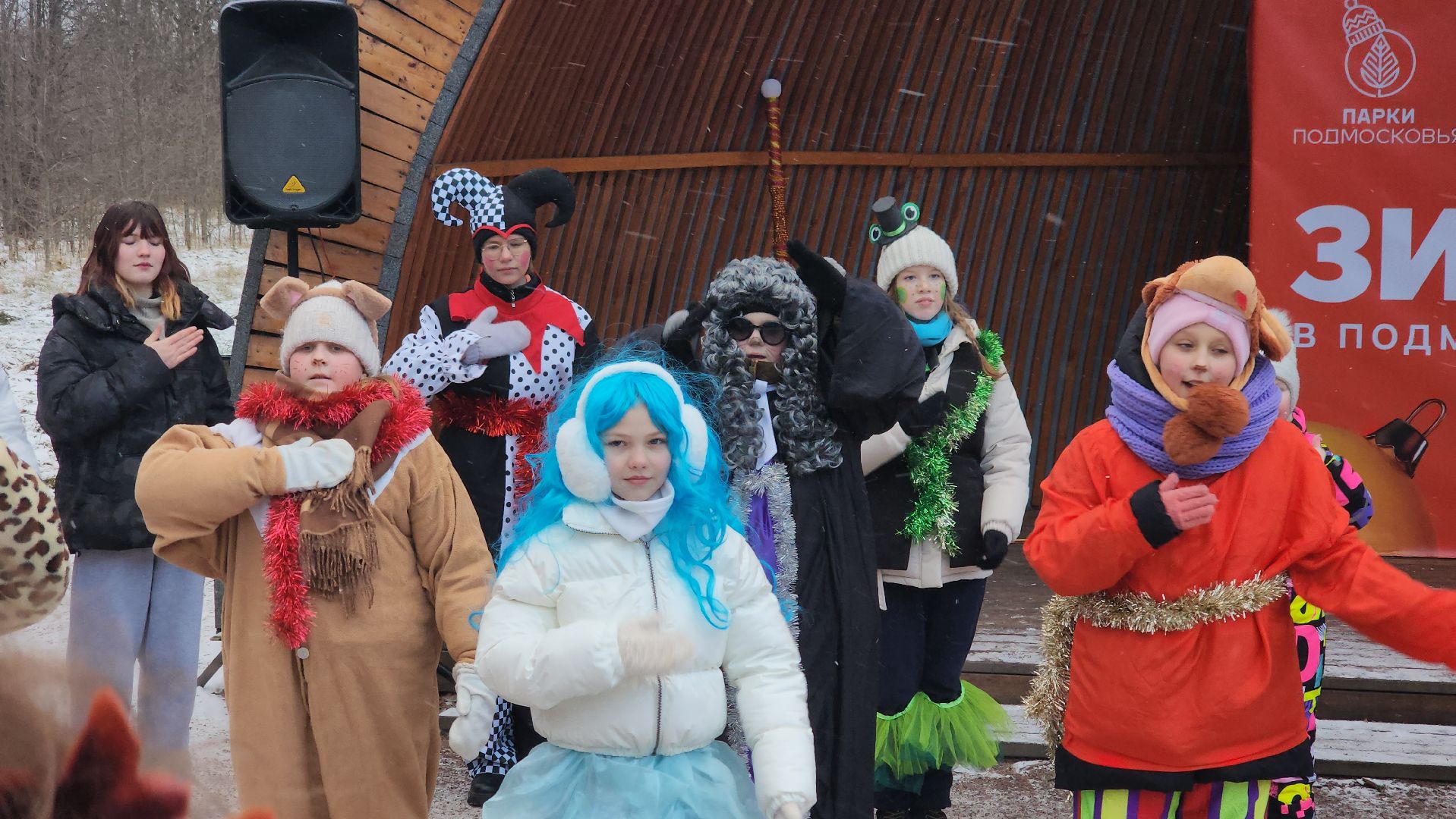 фрязино,  зима в подмосковье, парки сказки торжество,