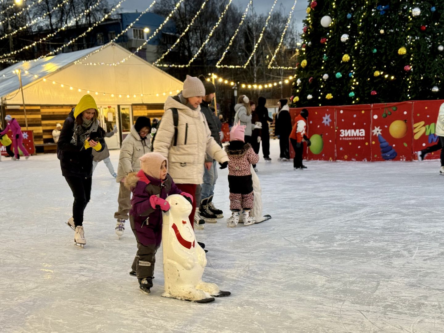 каток в видном, ленинский городской округ, зима в  подмосковье,