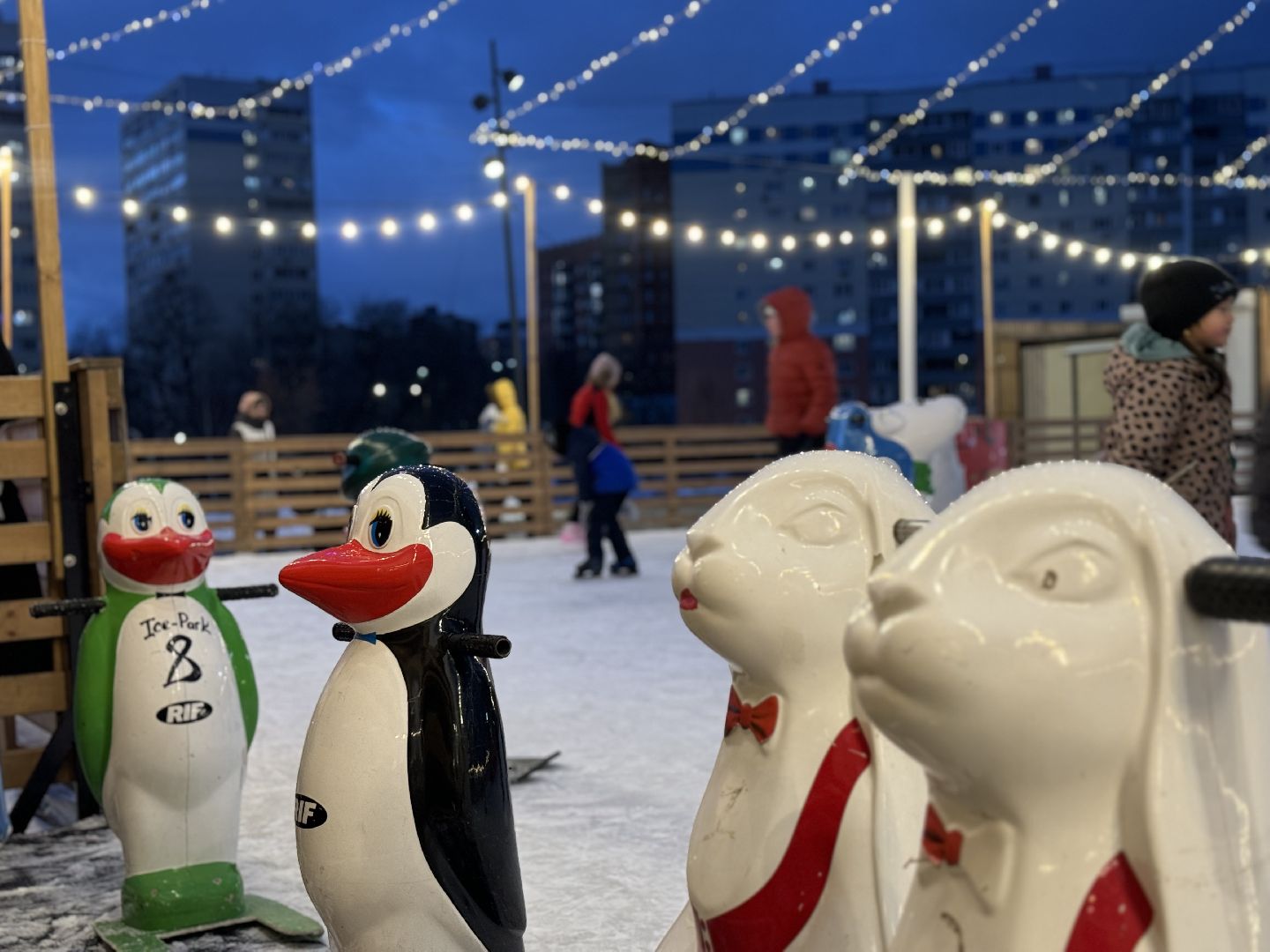 каток в видном, ленинский городской округ, зима в  подмосковье,