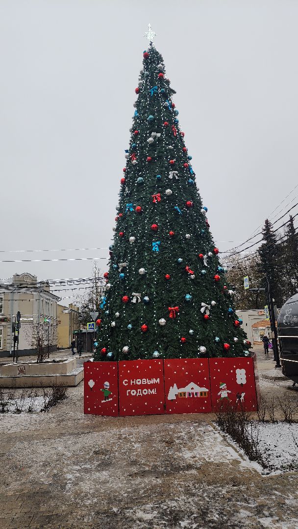 Новый год , Обшество , Конкурс елок во дворах и подъездах ,