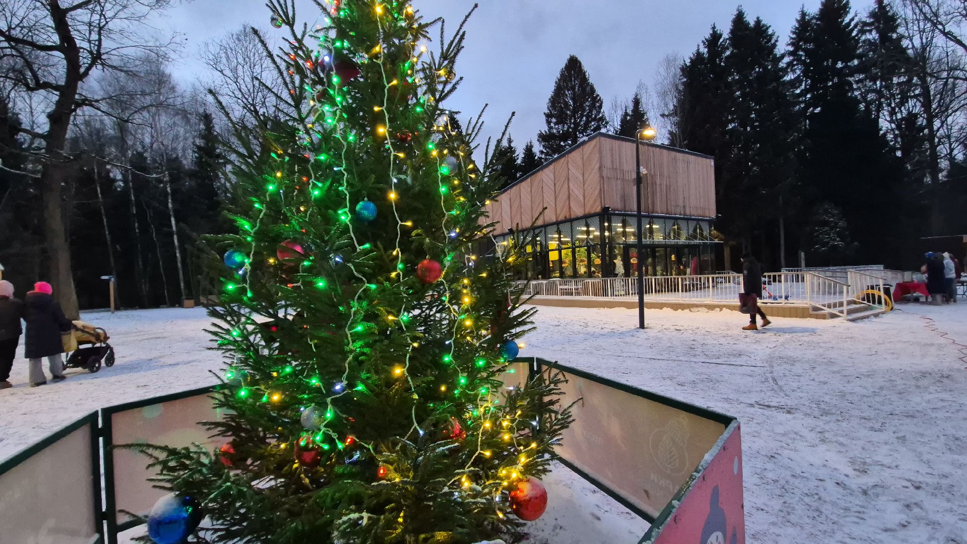 Апрелевка, Селятино, Новыйгод,