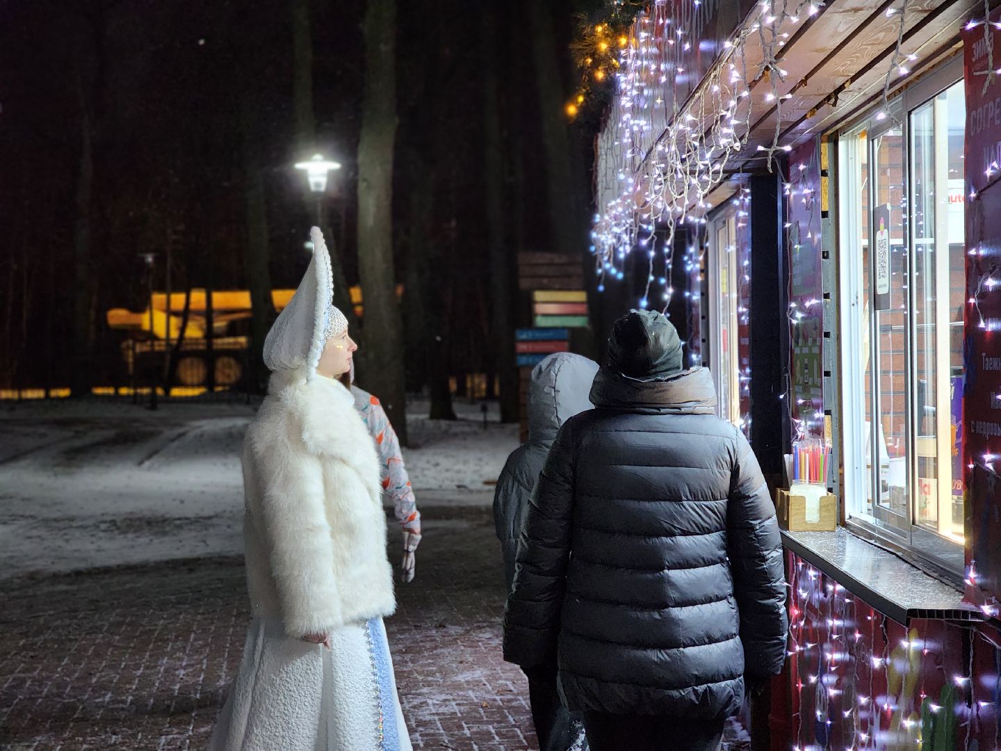 сергиев посад, сергиево-посадский городской округ, скитские пруды, зима в  подмосковье, зима в парках, паркисказкиторжество, каток, катание в парке, прокат коньков,