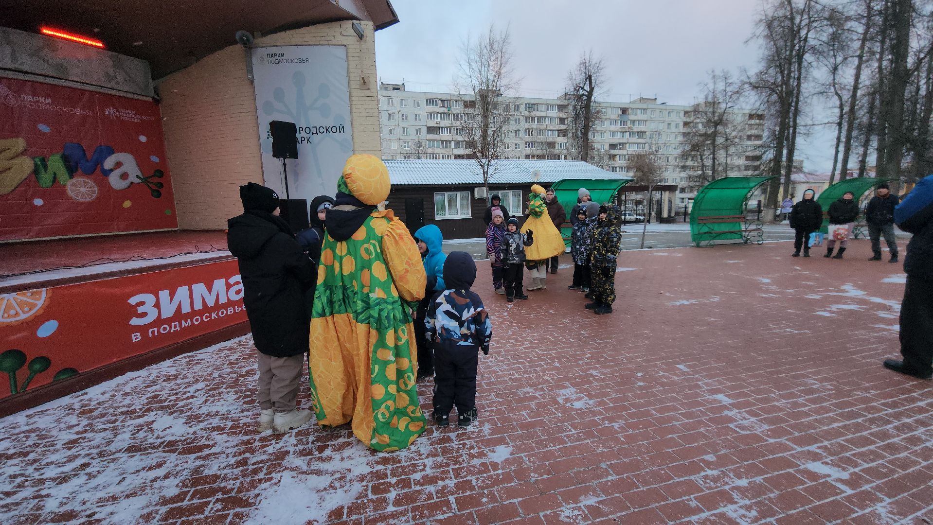 Павловский Посад , Новый год , Парк,